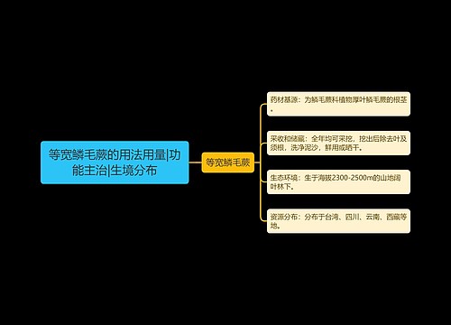 等宽鳞毛蕨的用法用量|功能主治|生境分布