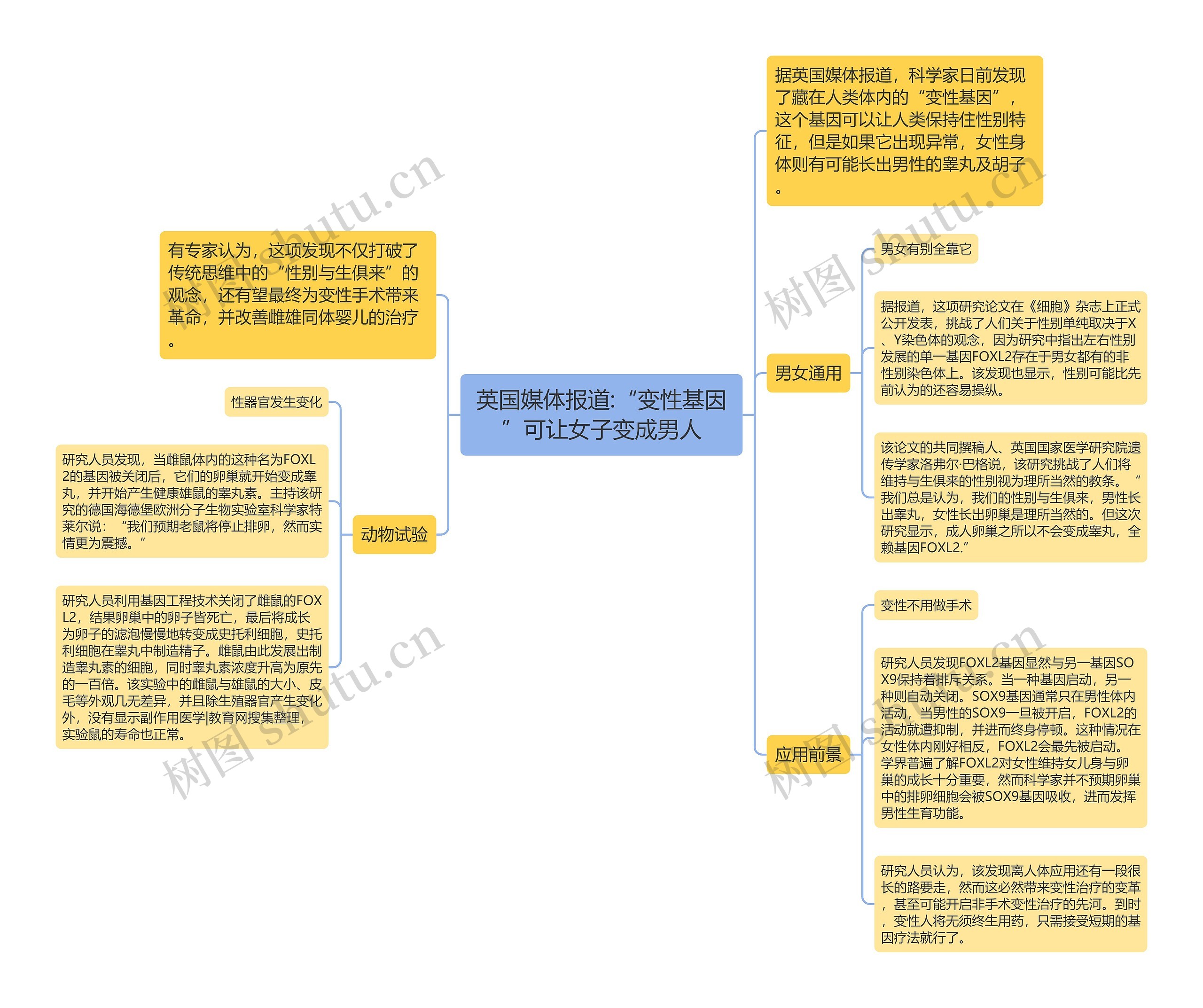英国媒体报道:“变性基因”可让女子变成男人 英国媒体报道:“变性基因”可让女子变成男人
