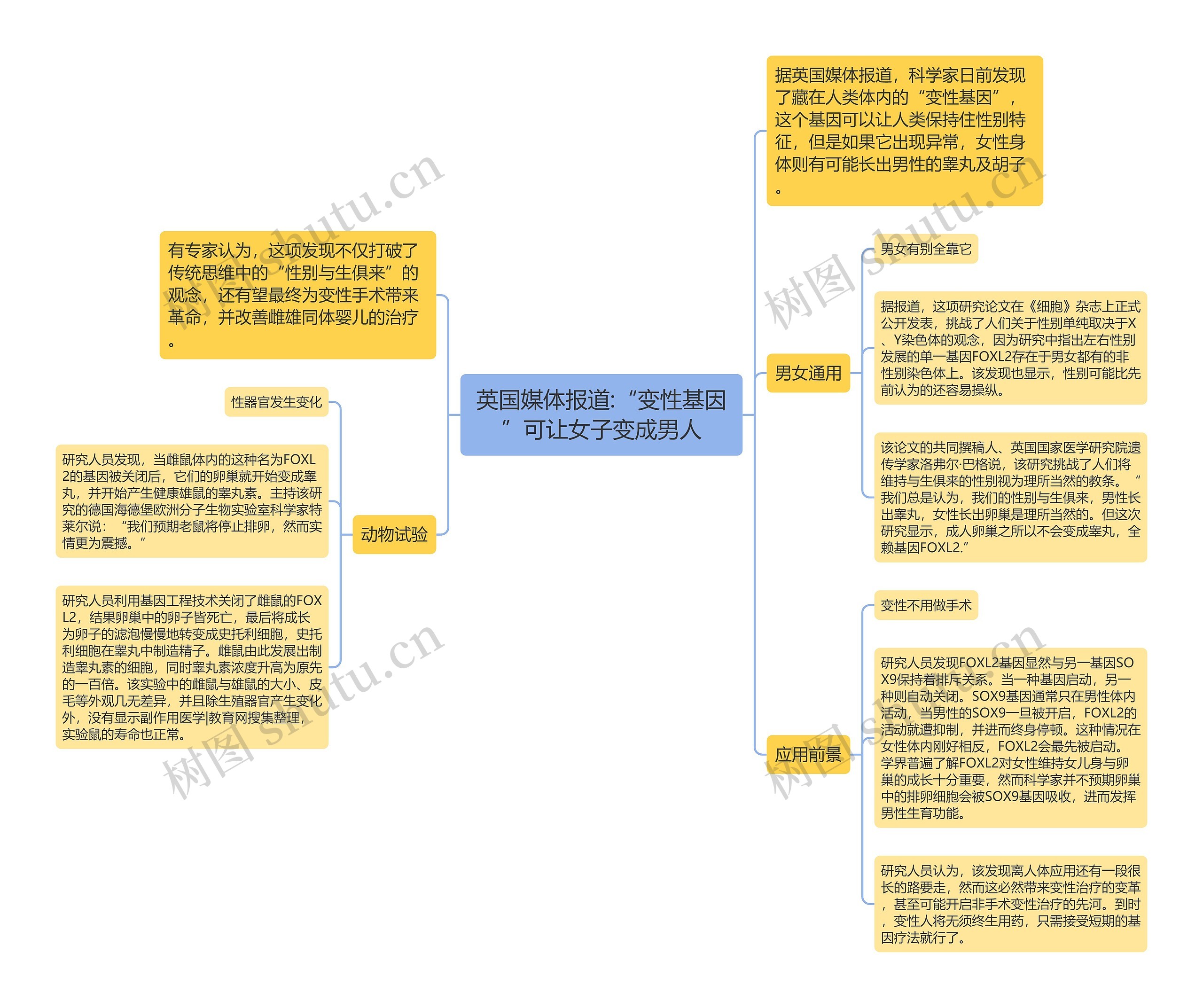 英国媒体报道:“变性基因”可让女子变成男人思维导图