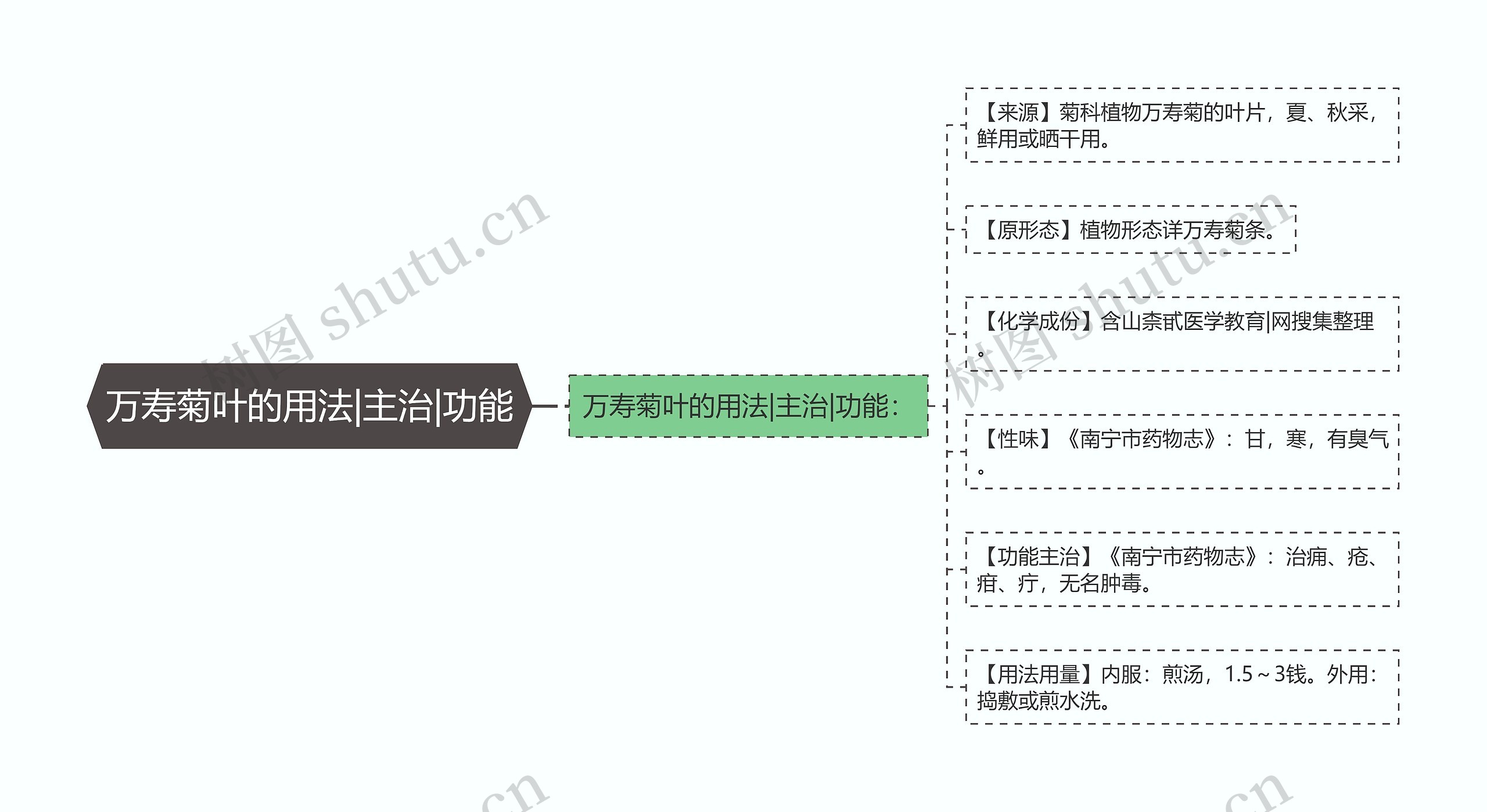 万寿菊叶的用法|主治|功能思维导图