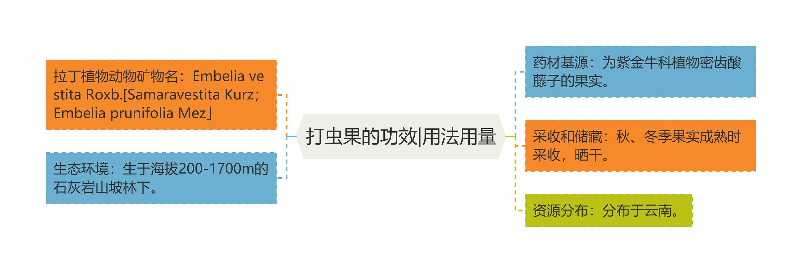 打虫果的功效|用法用量 打虫果的功效|用法用量