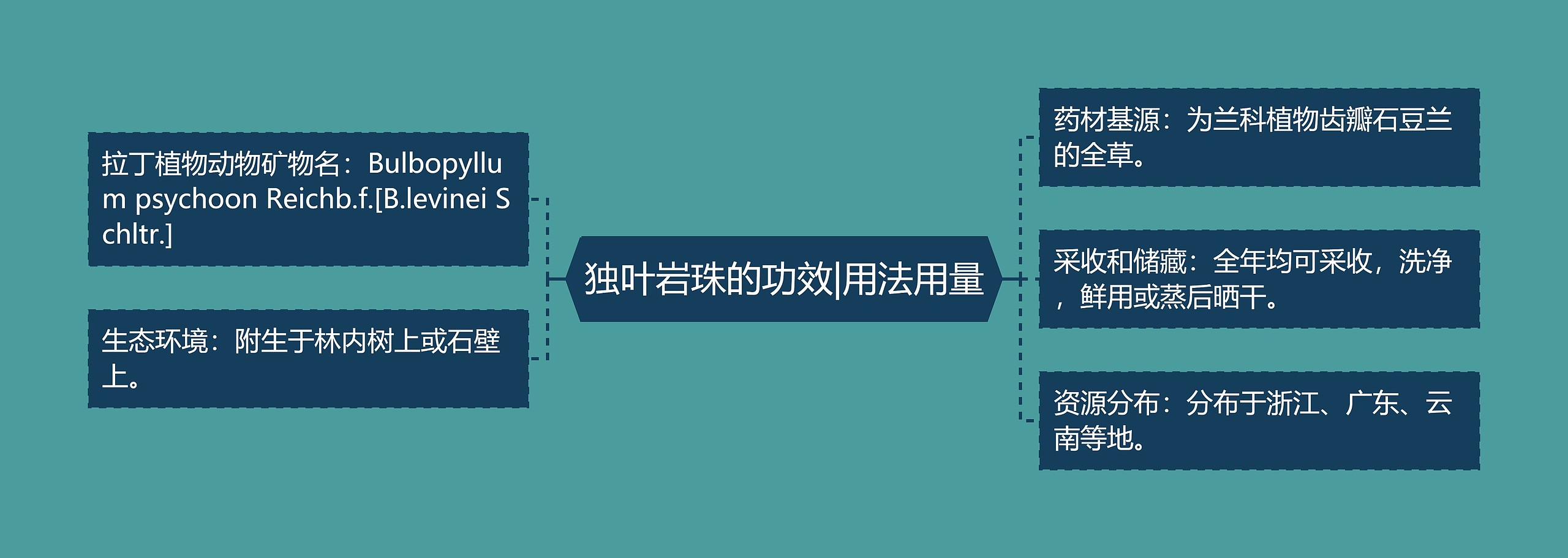 独叶岩珠的功效|用法用量思维导图