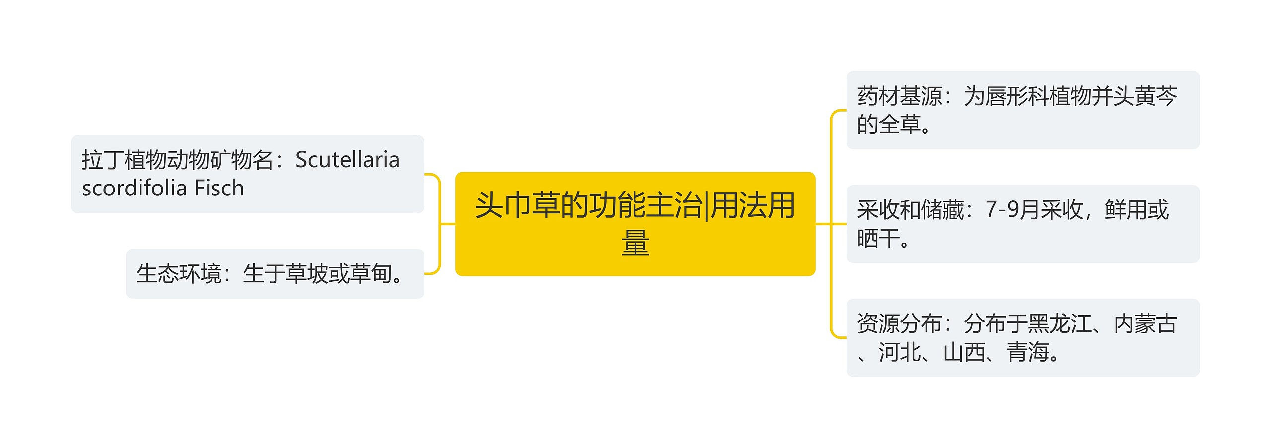 头巾草的功能主治|用法用量