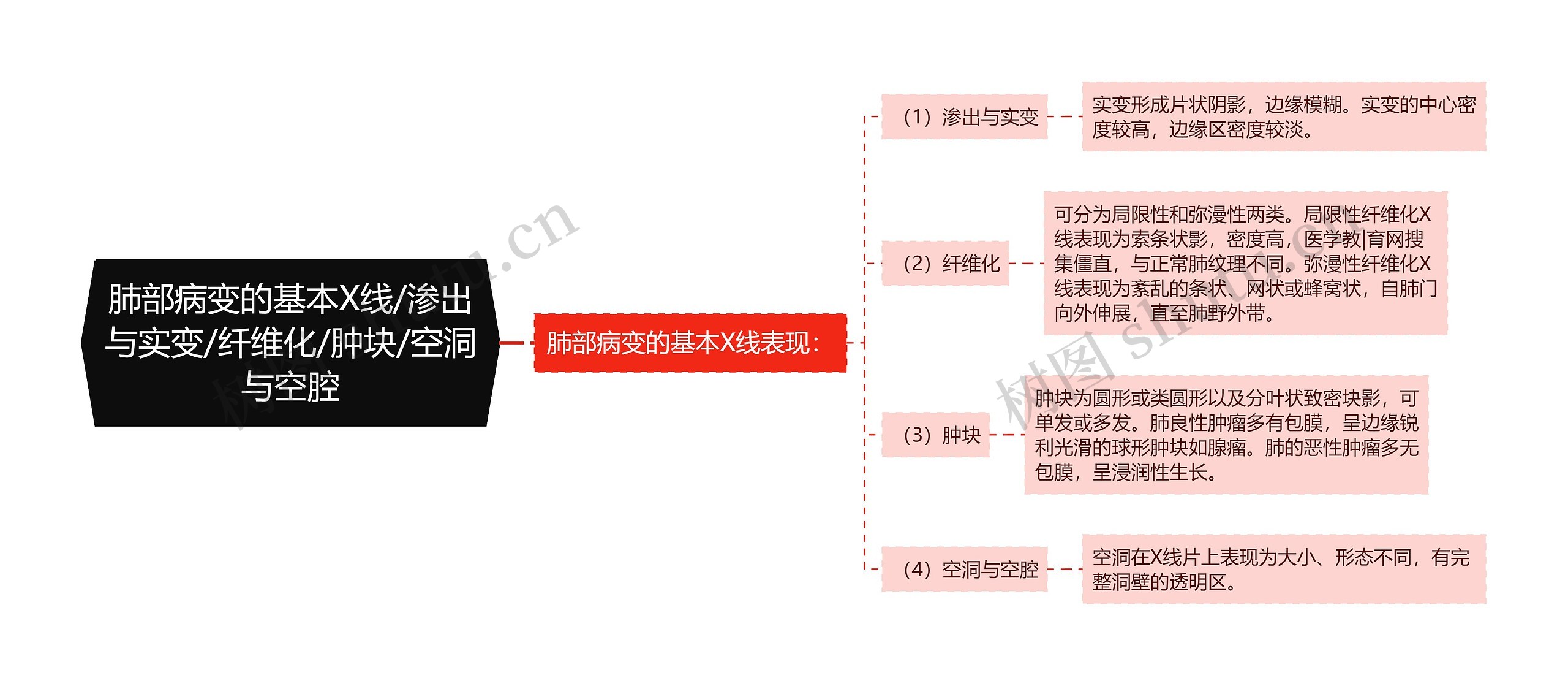 肺部病变的基本X线/渗出与实变/纤维化/肿块/空洞与空腔思维导图