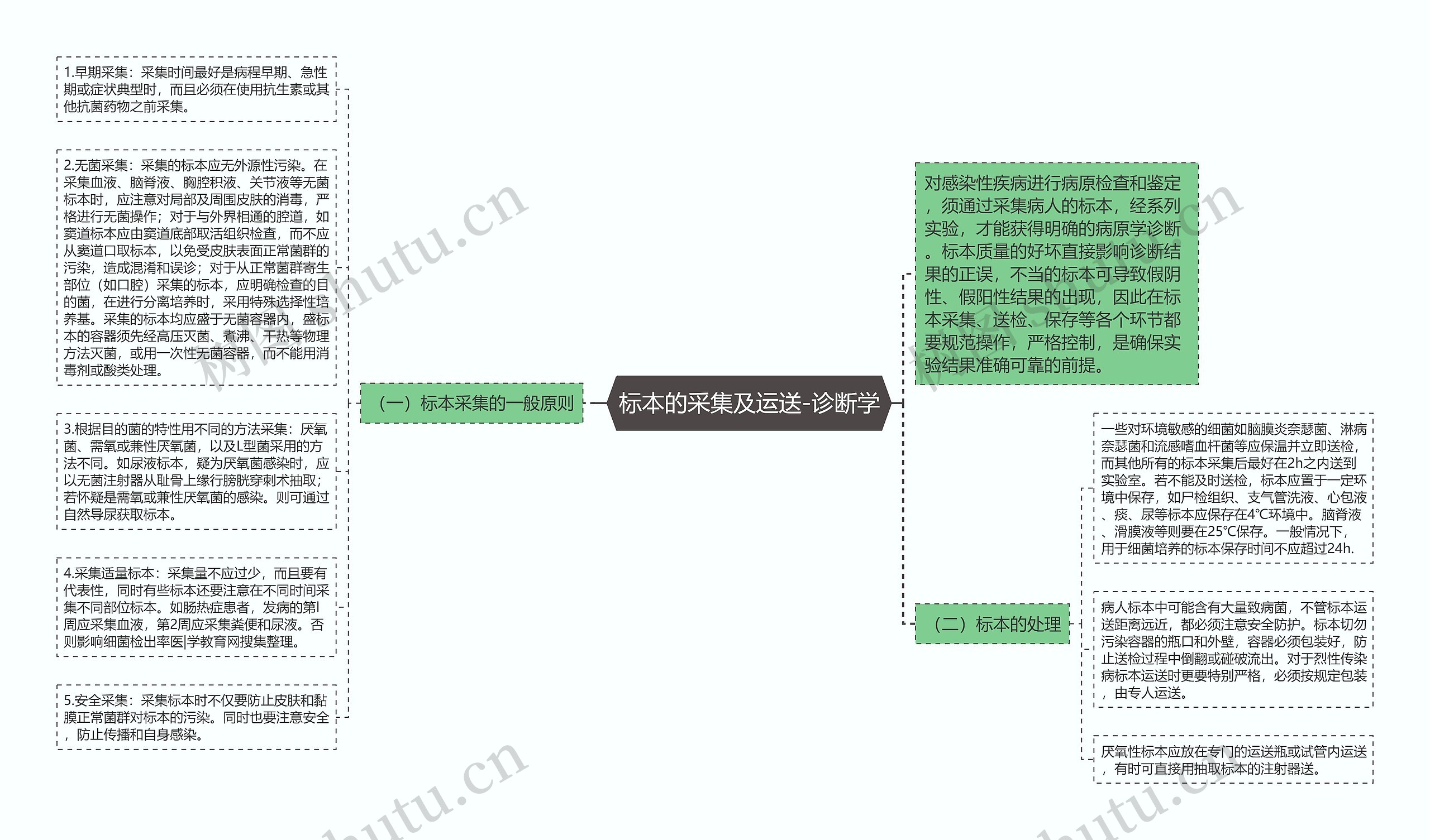 标本的采集及运送-诊断学思维导图