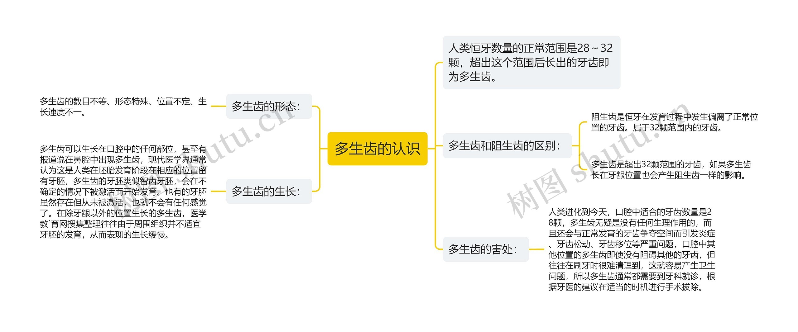 多生齿的认识思维导图