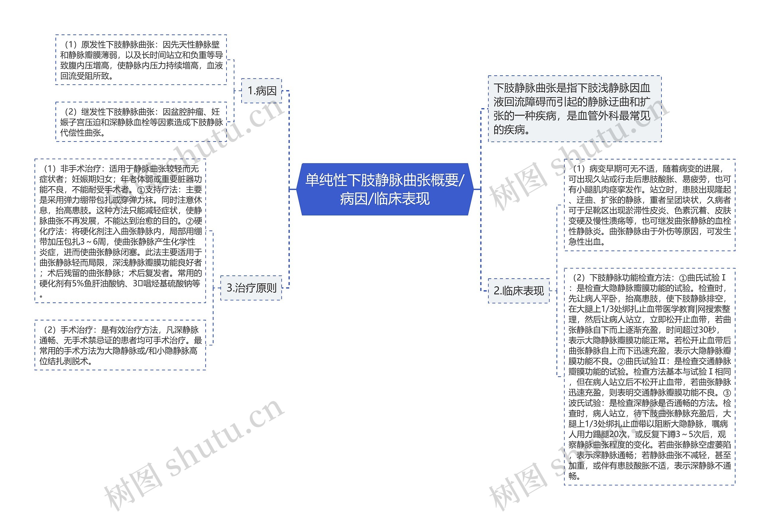 单纯性下肢静脉曲张概要/病因/临床表现