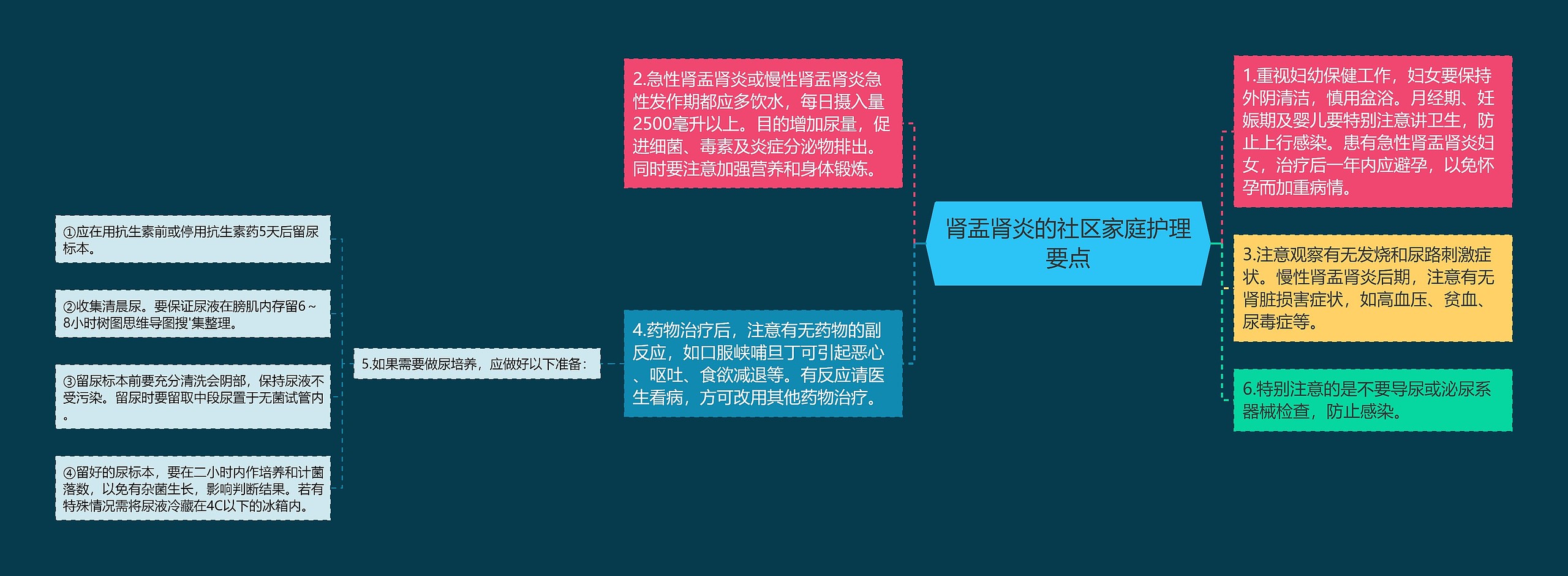 肾盂肾炎的社区家庭护理要点思维导图