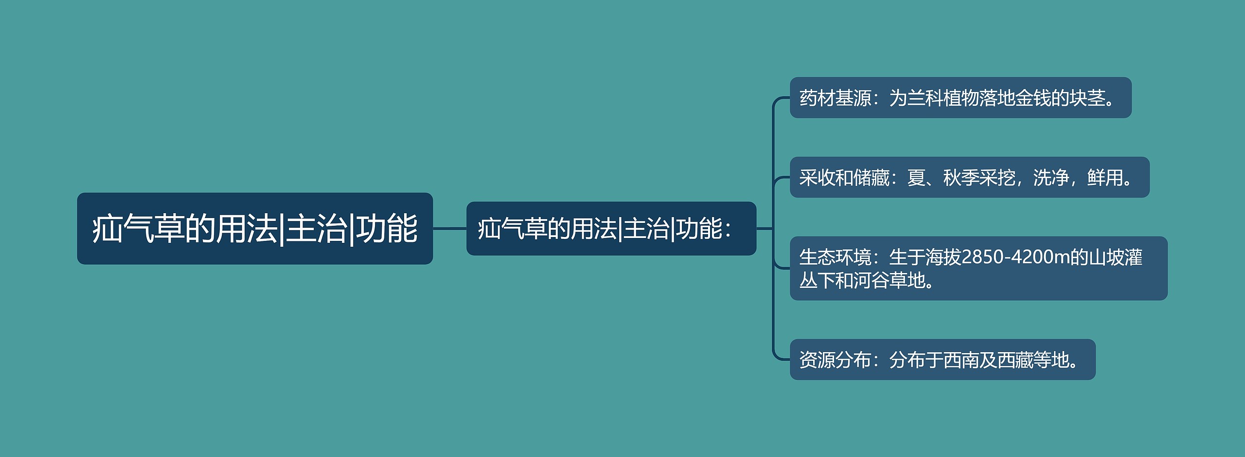 疝气草的用法|主治|功能