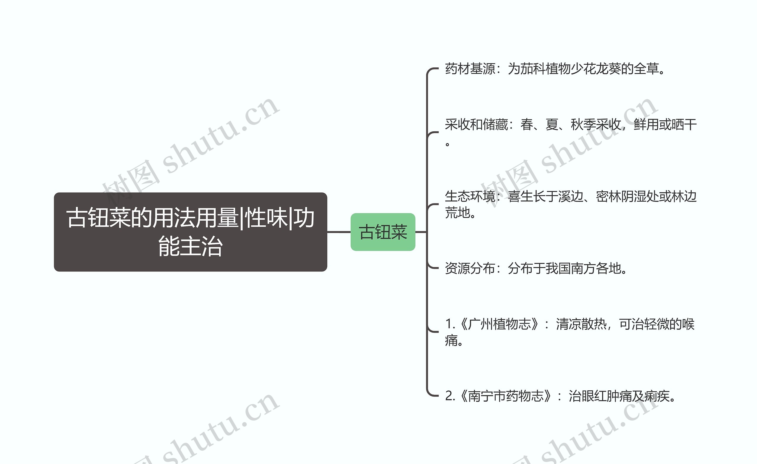 古钮菜的用法用量|性味|功能主治思维导图