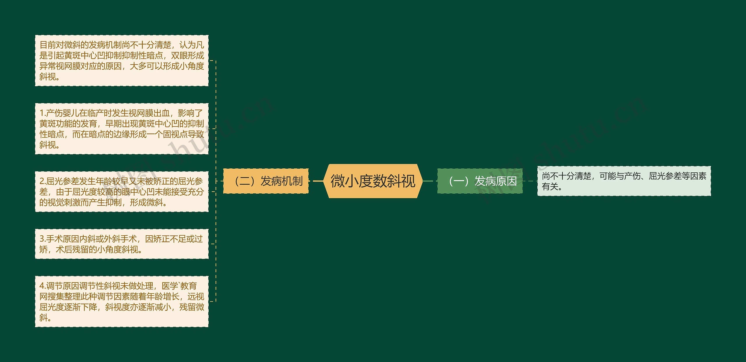 微小度数斜视思维导图