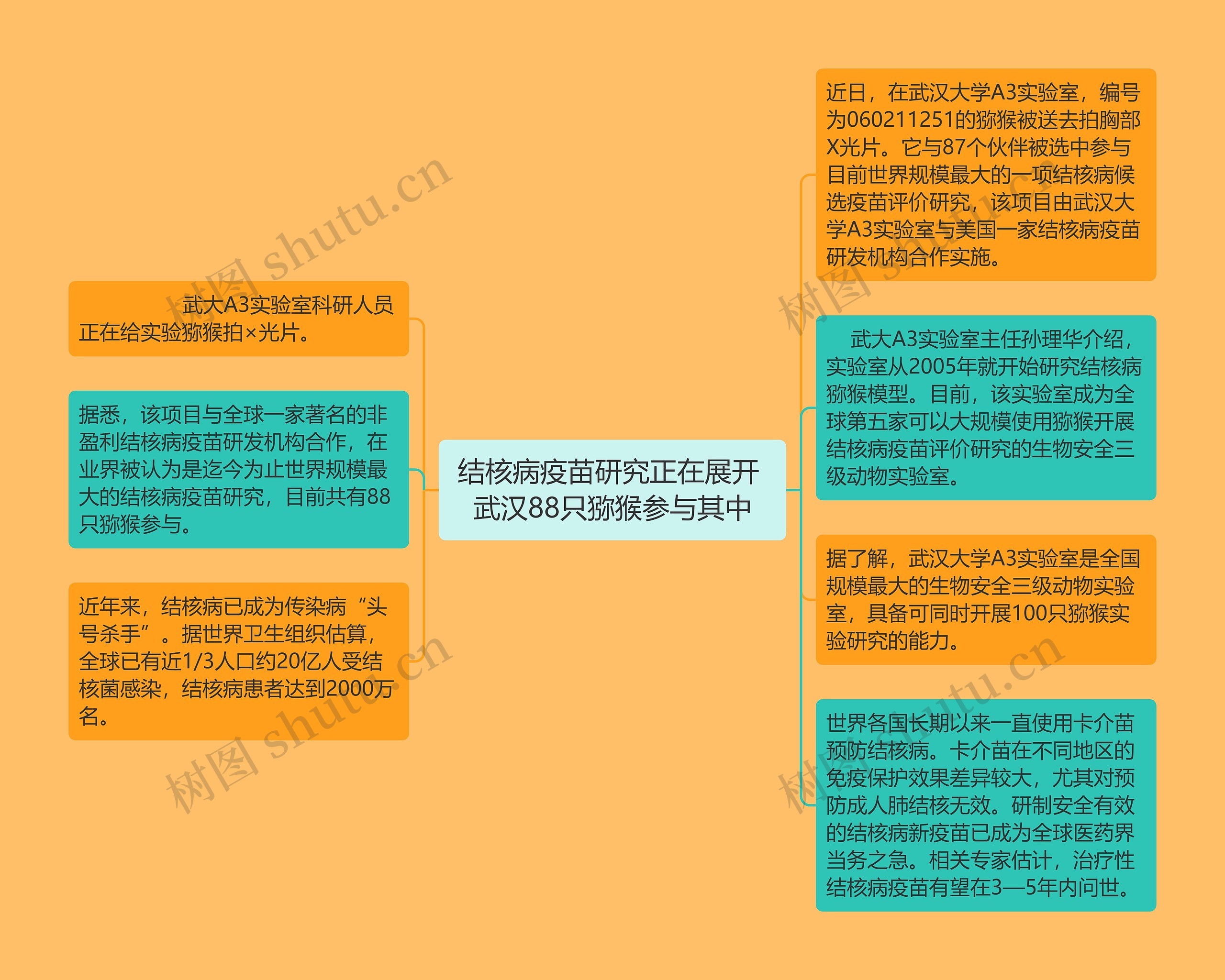 结核病疫苗研究正在展开 武汉88只猕猴参与其中思维导图