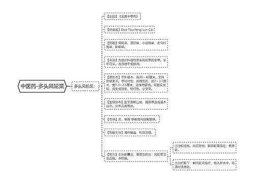 中医药-多头风轮菜