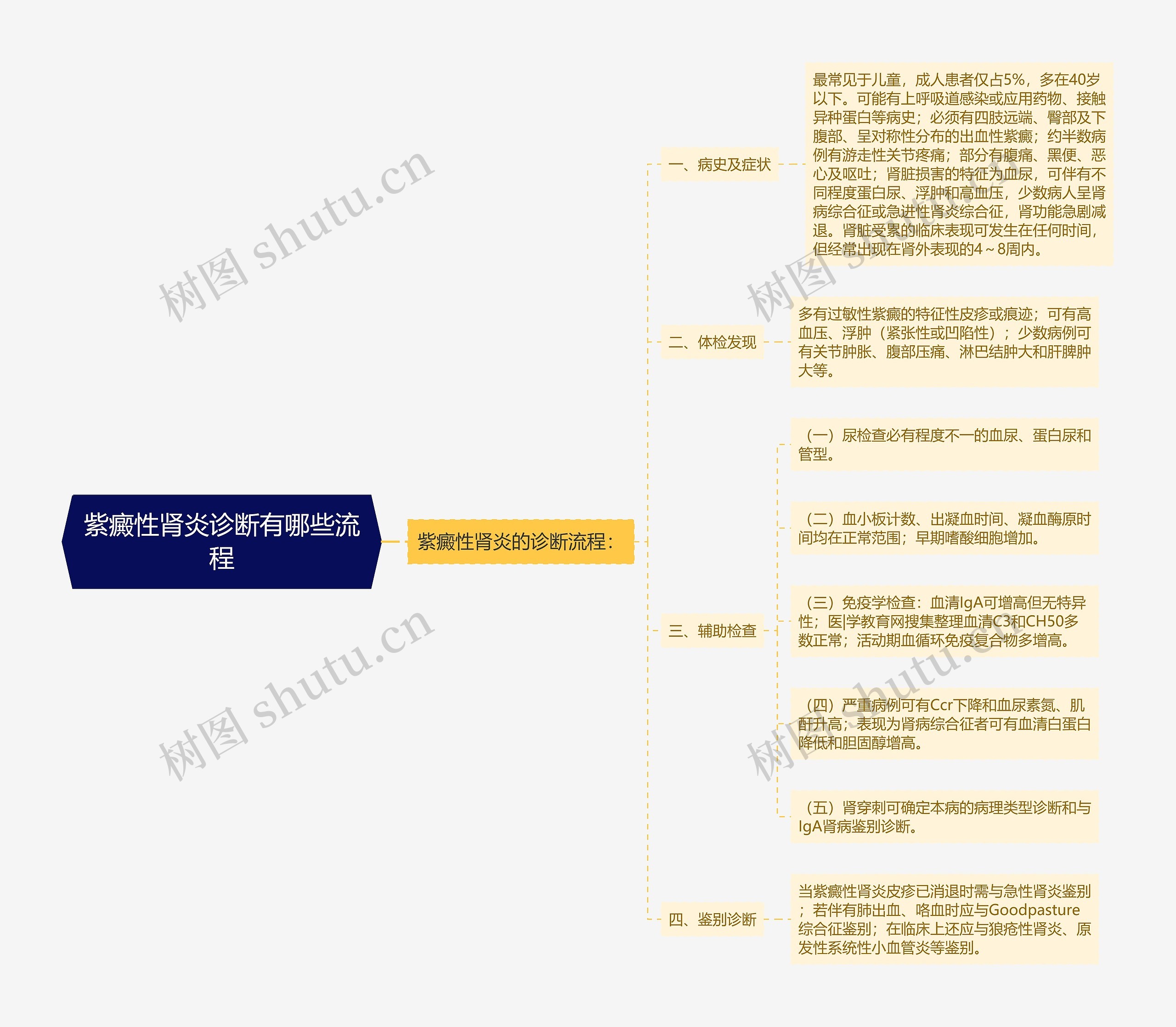 紫癜性肾炎诊断有哪些流程思维导图