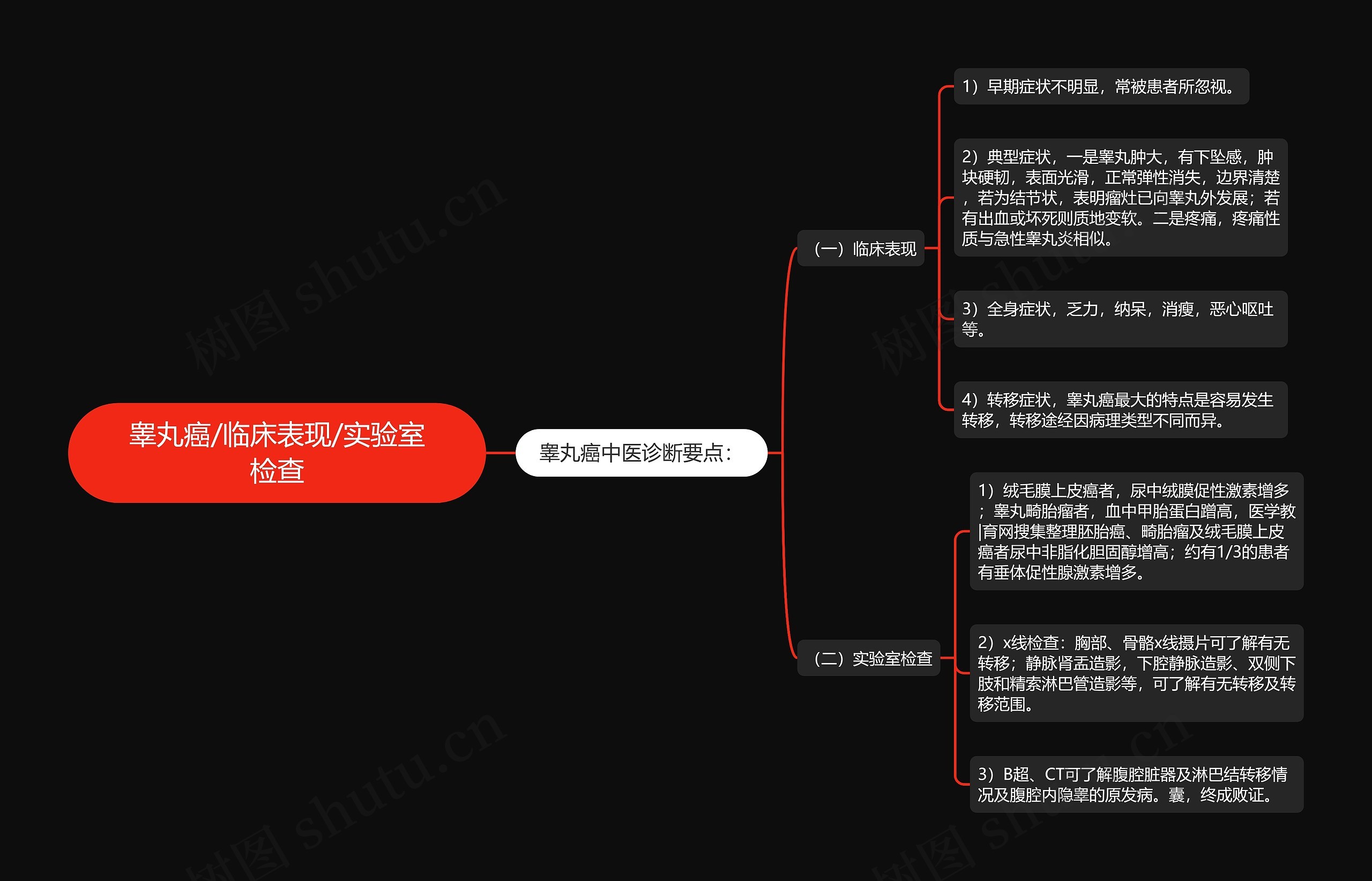 睾丸癌/临床表现/实验室检查思维导图