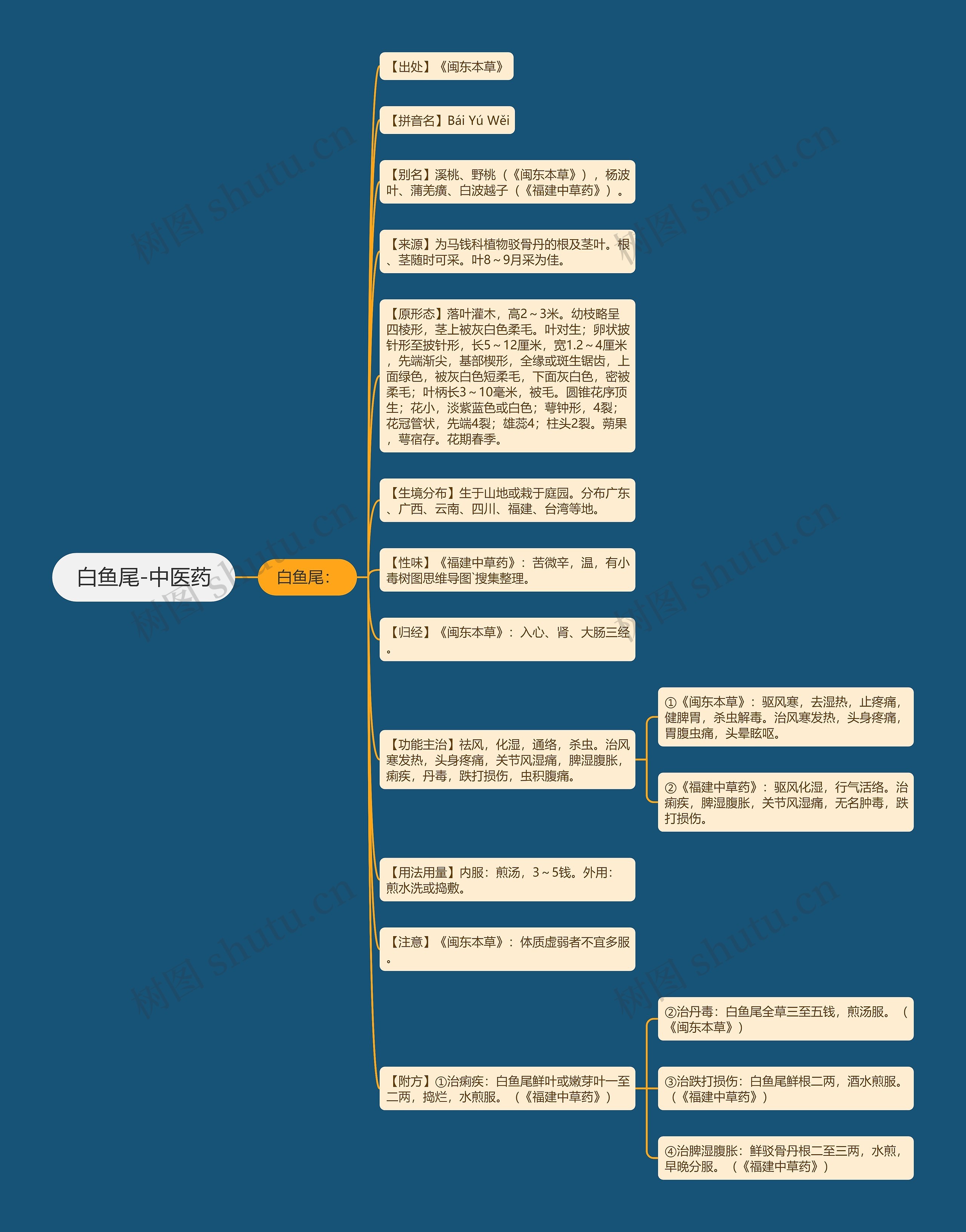 白鱼尾-中医药思维导图