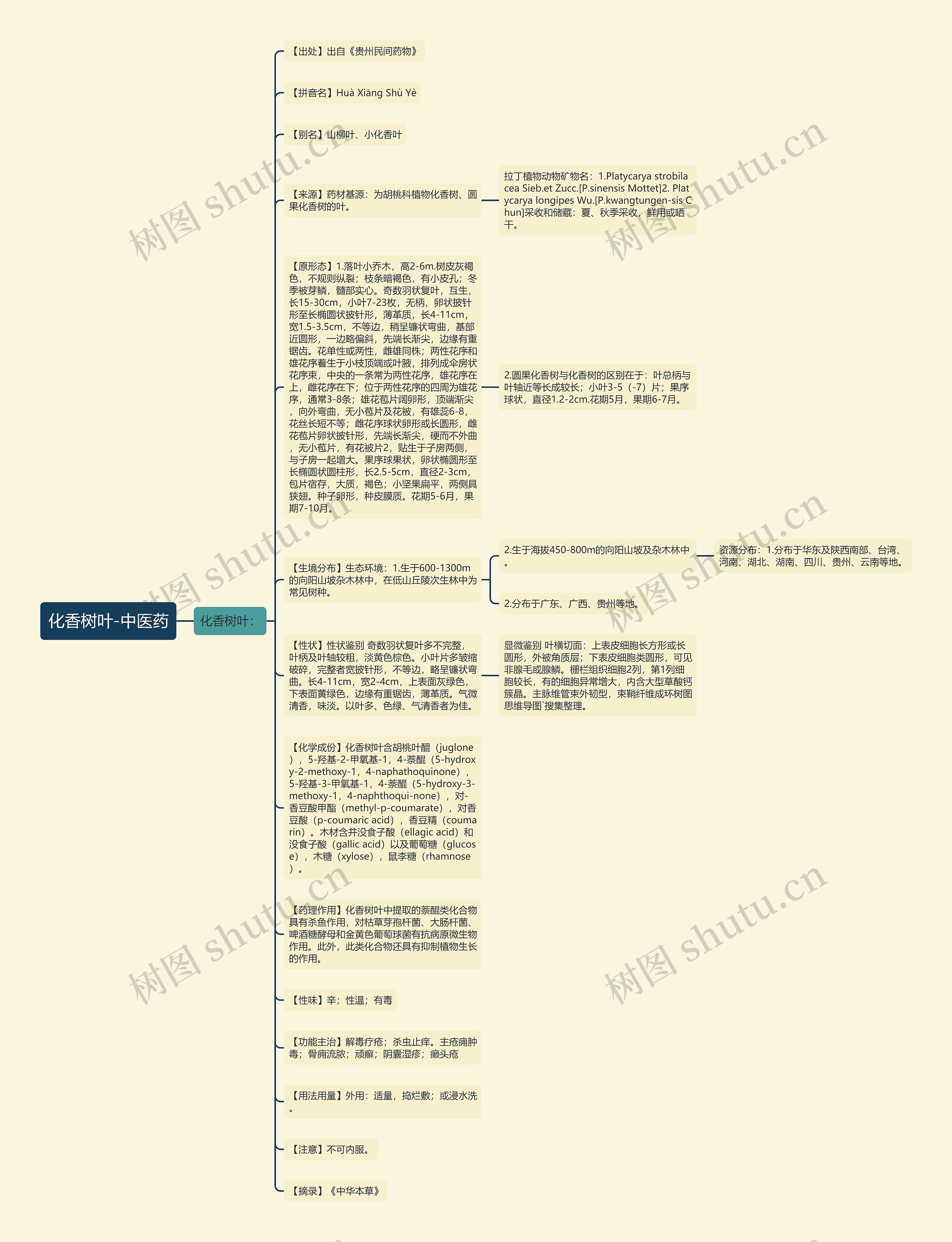 化香树叶-中医药思维导图