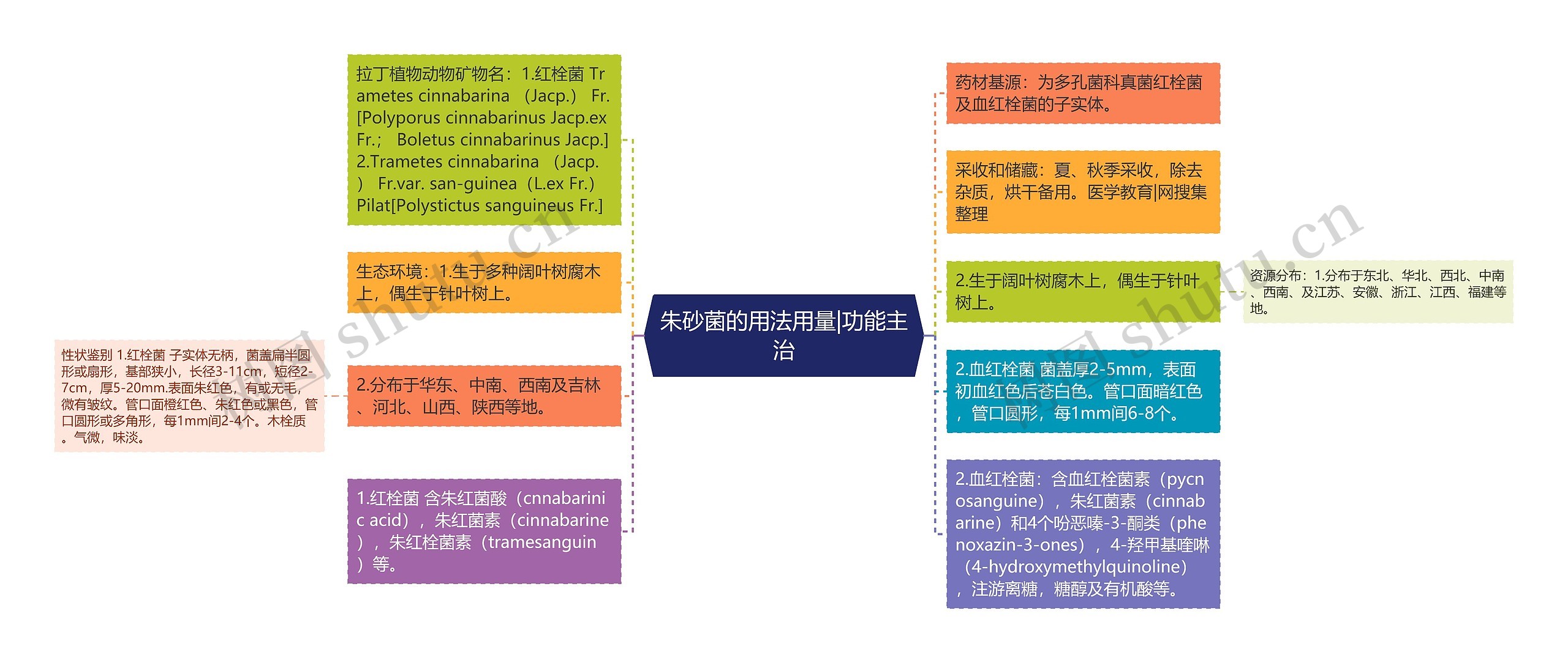 朱砂菌的用法用量|功能主治思维导图