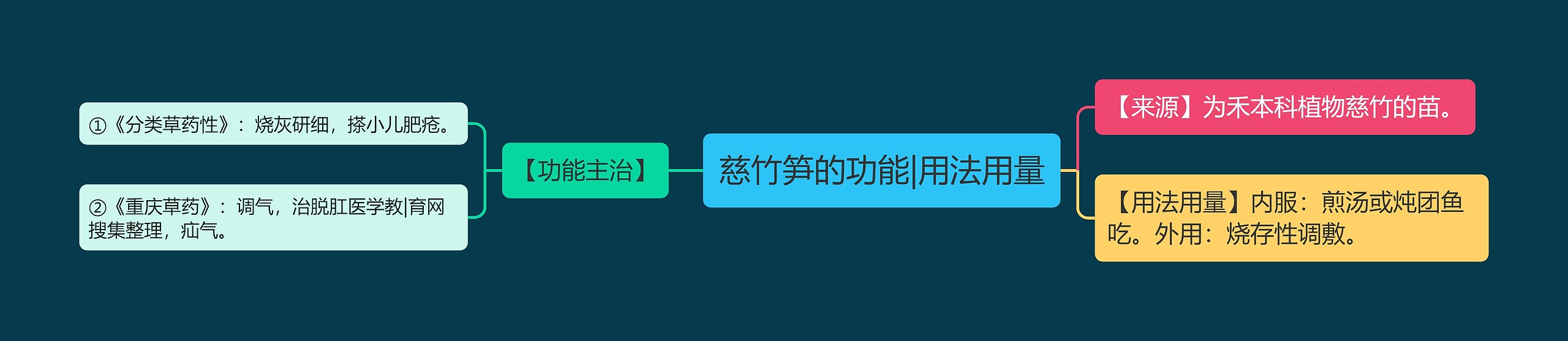 慈竹笋的功能|用法用量思维导图