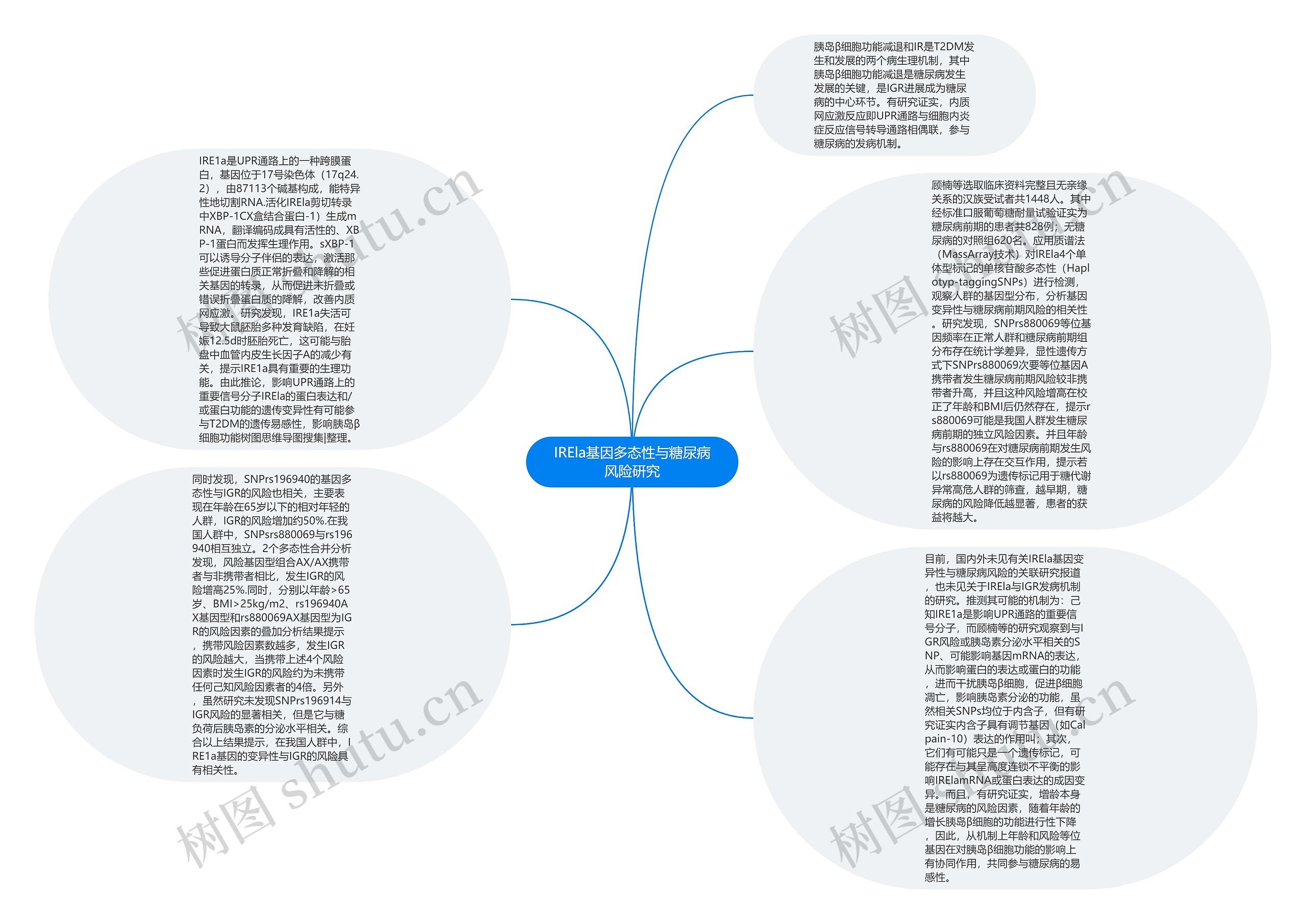 IREla基因多态性与糖尿病风险研究思维导图