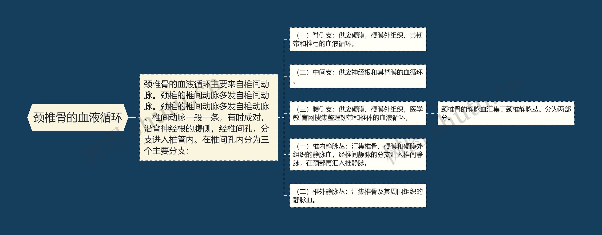 颈椎骨的血液循环 颈椎骨的血液循环