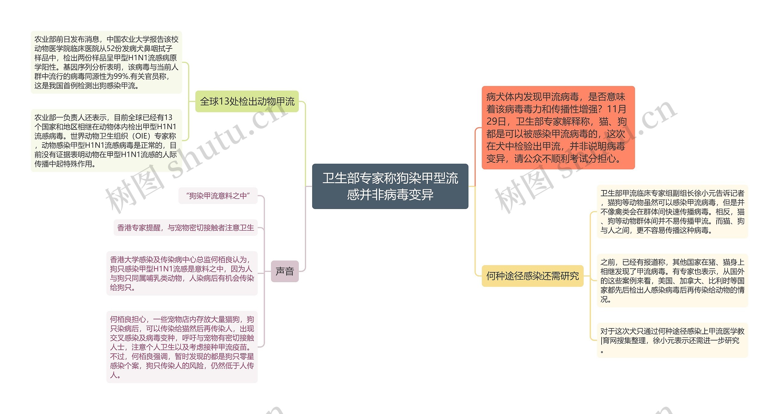 卫生部专家称狗染甲型流感并非病毒变异思维导图