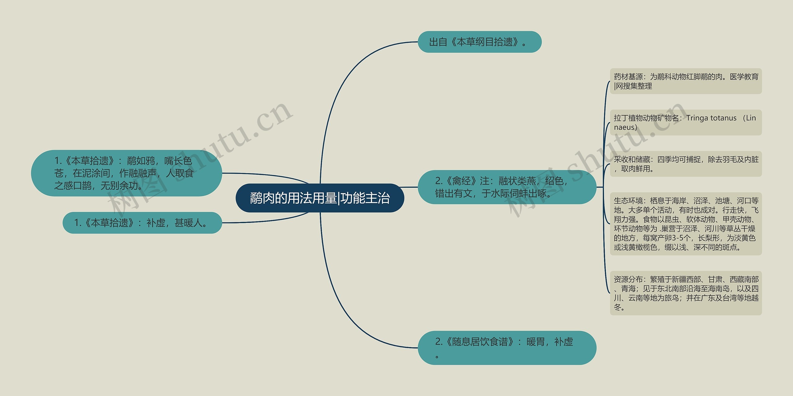 鹬肉的用法用量|功能主治