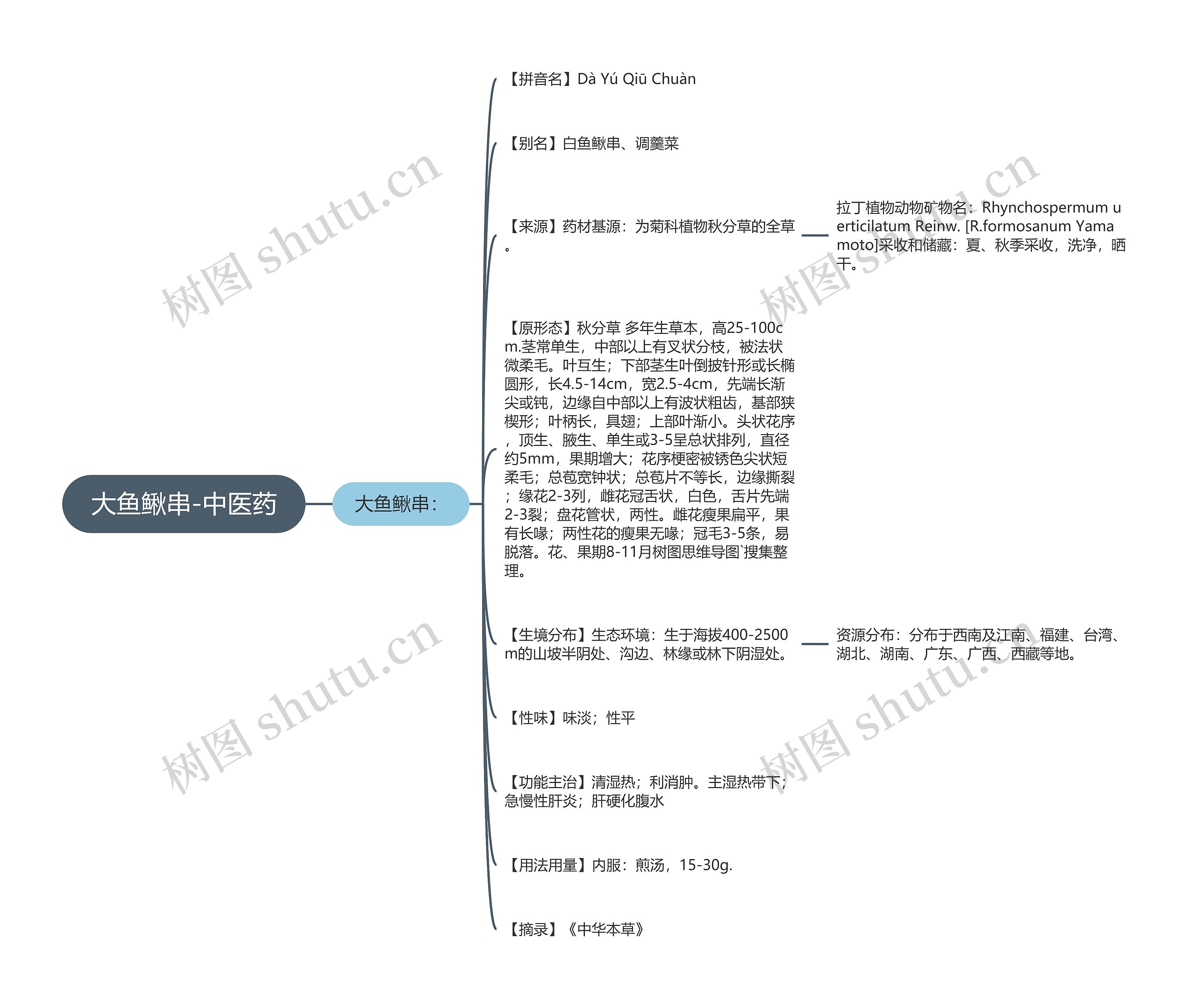 大鱼鳅串-中医药 大鱼鳅串-中医药