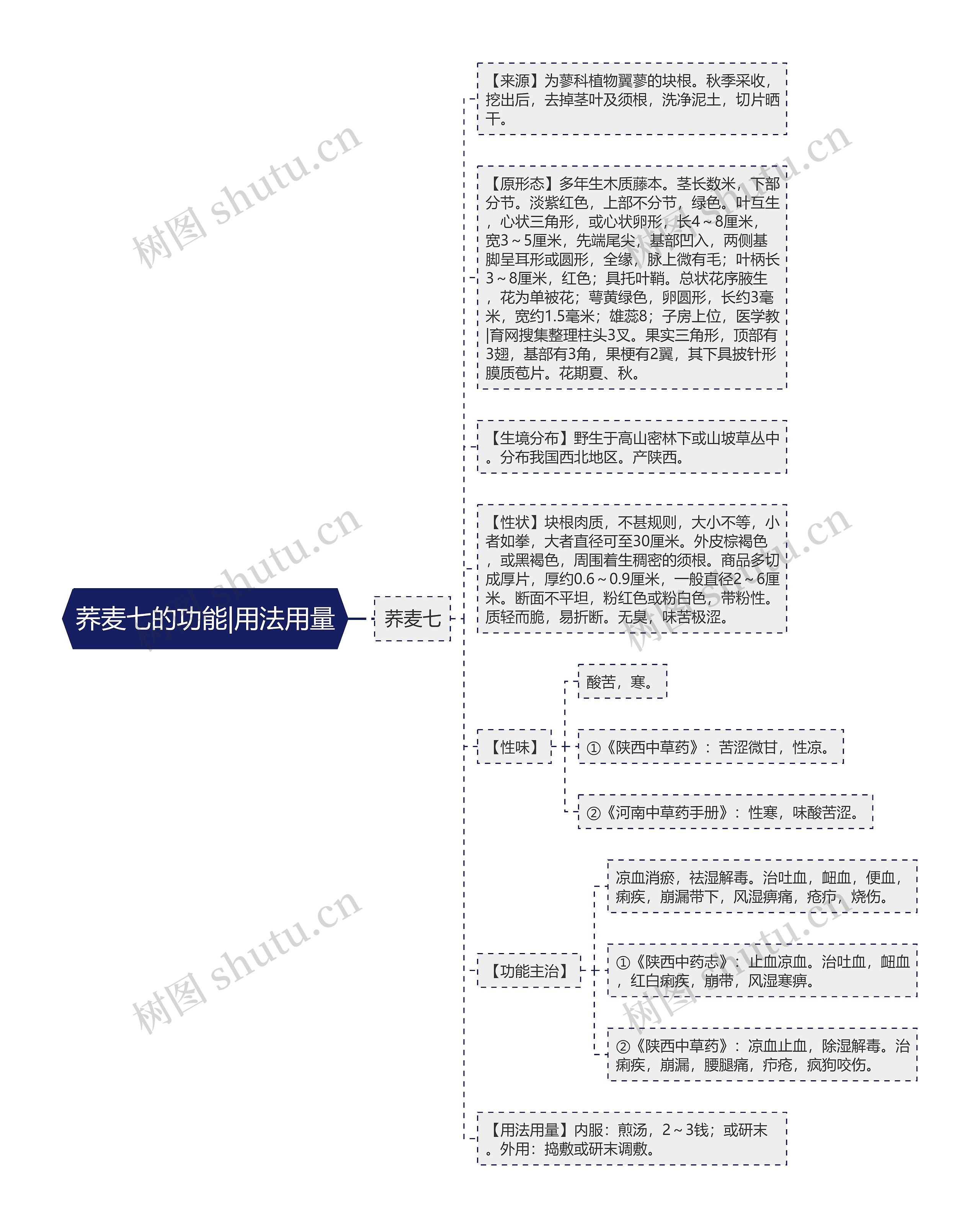 荞麦七的功能|用法用量思维导图