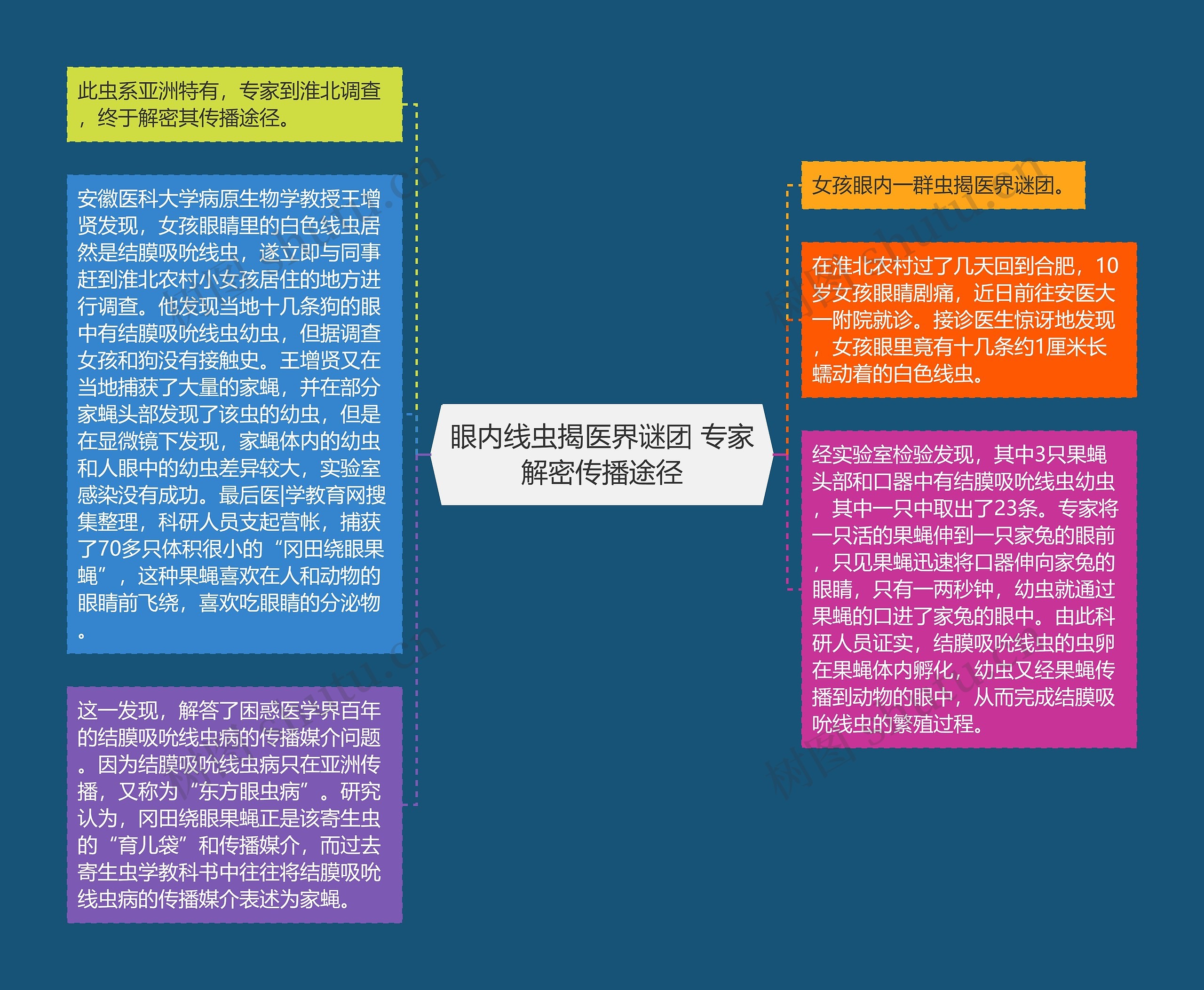 眼内线虫揭医界谜团 专家解密传播途径