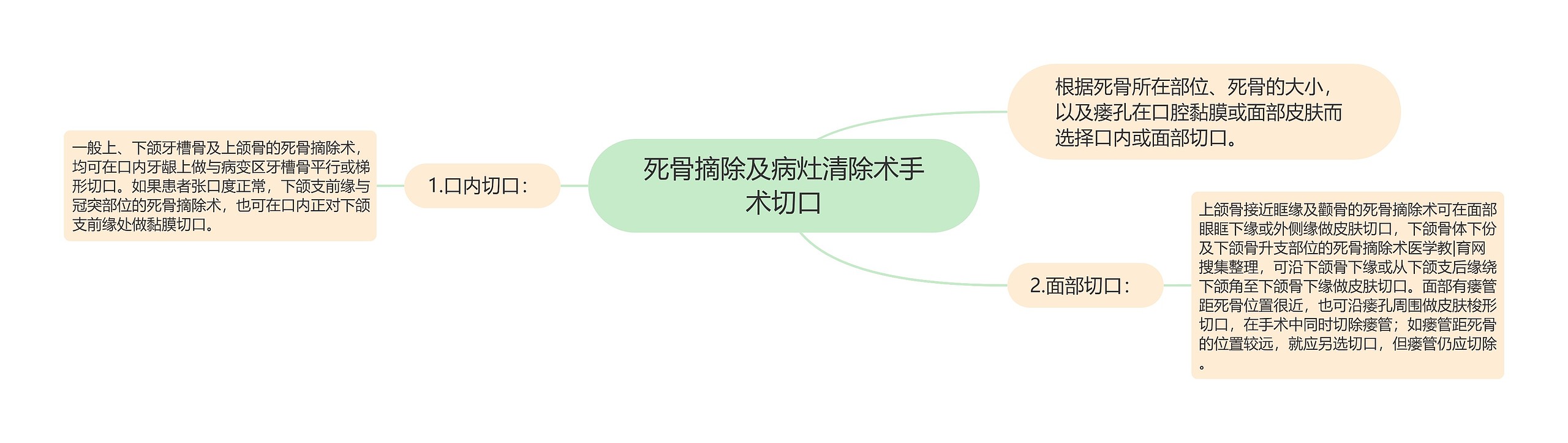 死骨摘除及病灶清除术手术切口 死骨摘除及病灶清除术手术切口