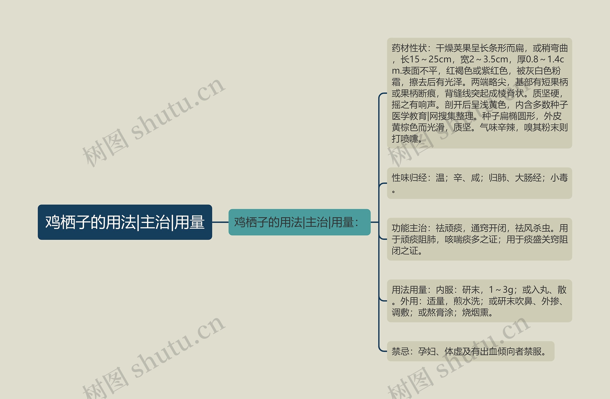 鸡栖子的用法|主治|用量思维导图