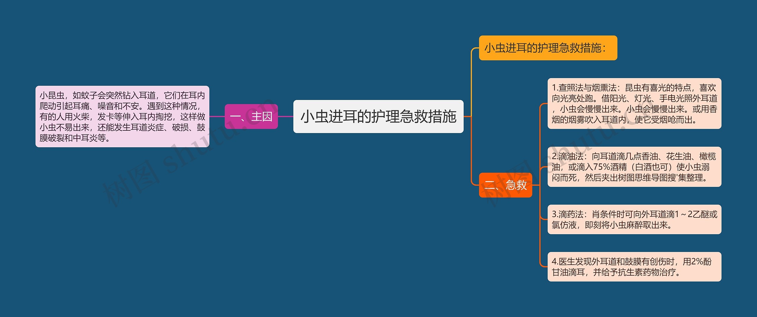 小虫进耳的护理急救措施思维导图