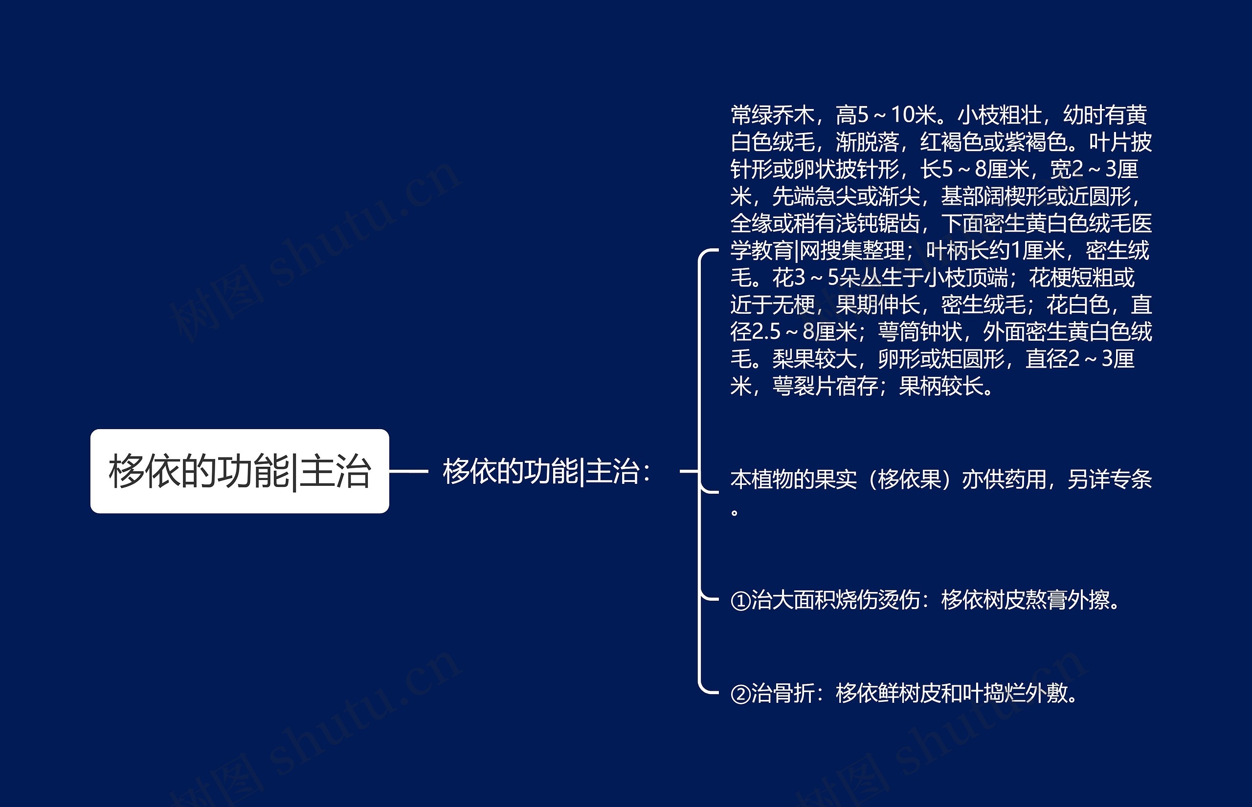 栘依的功能|主治思维导图