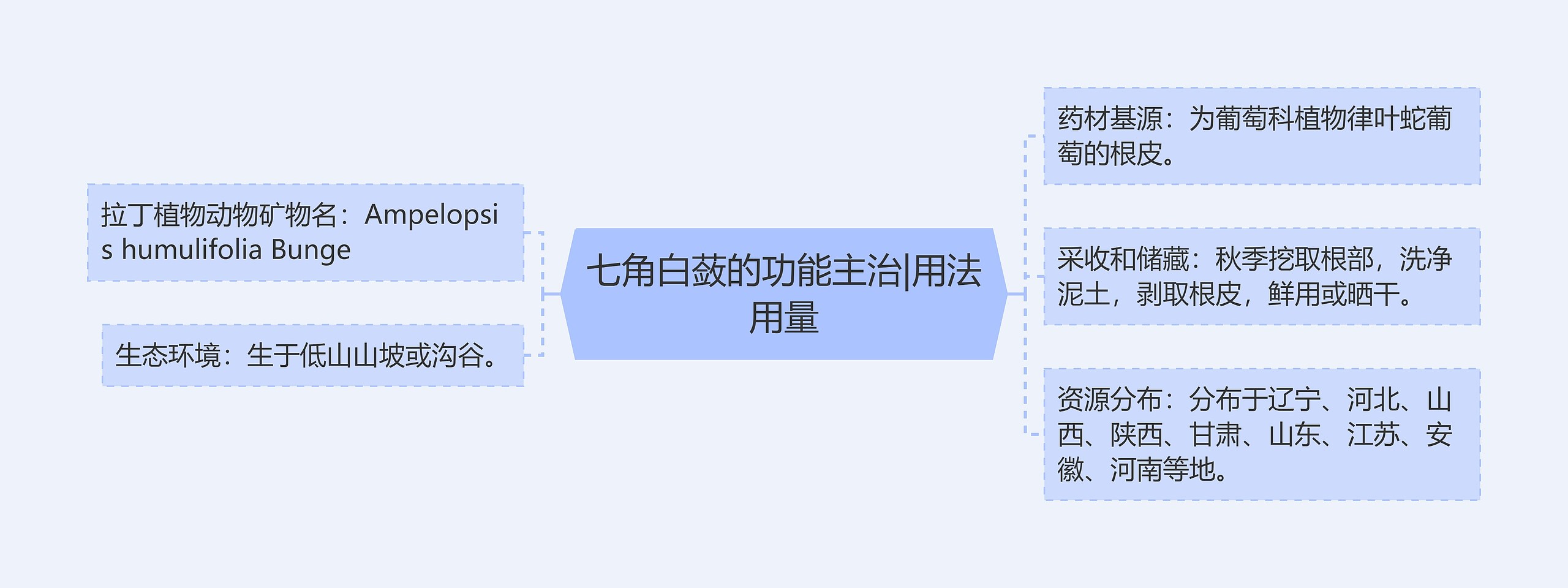 七角白蔹的功能主治|用法用量思维导图