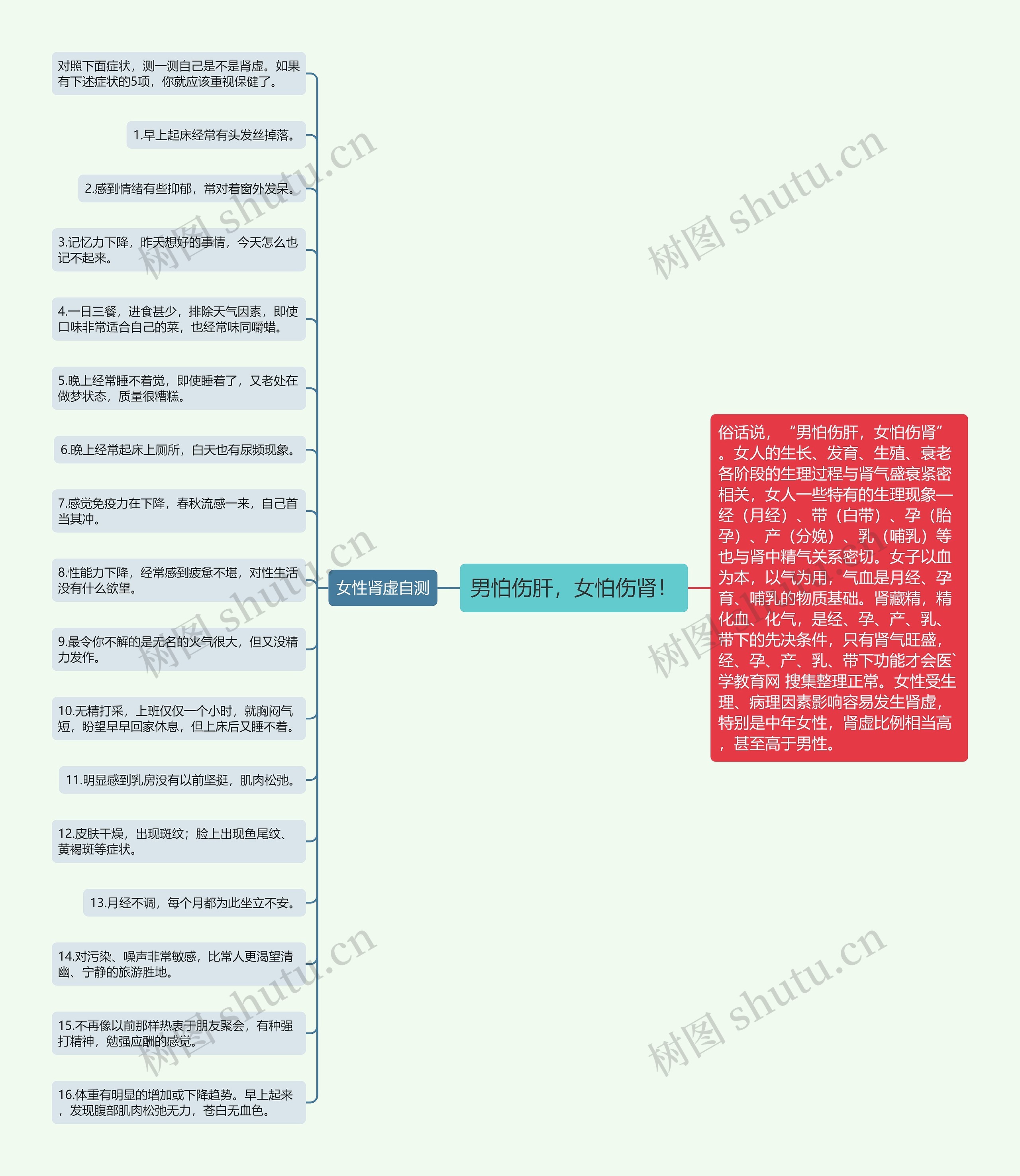 男怕伤肝，女怕伤肾！思维导图