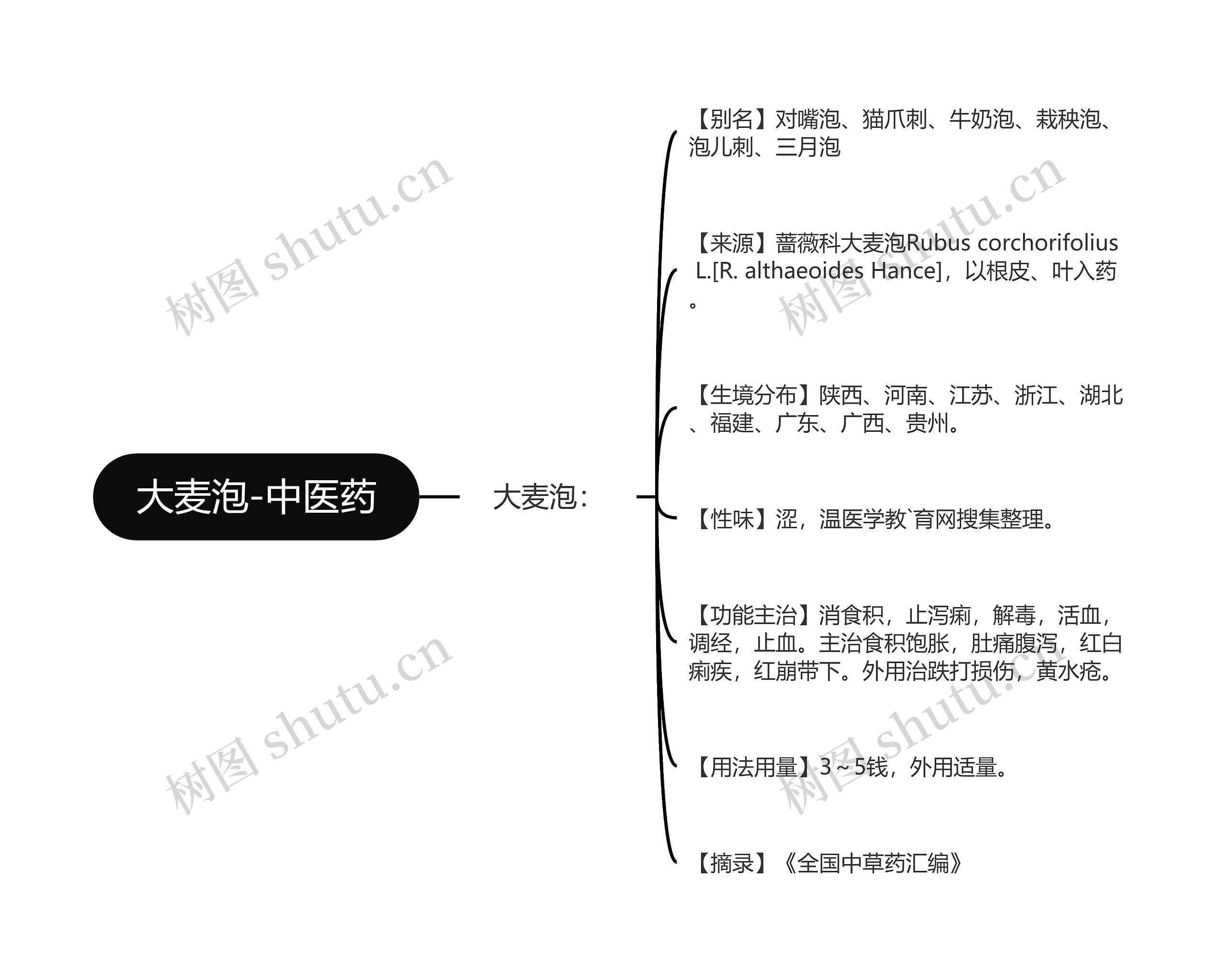 大麦泡-中医药思维导图