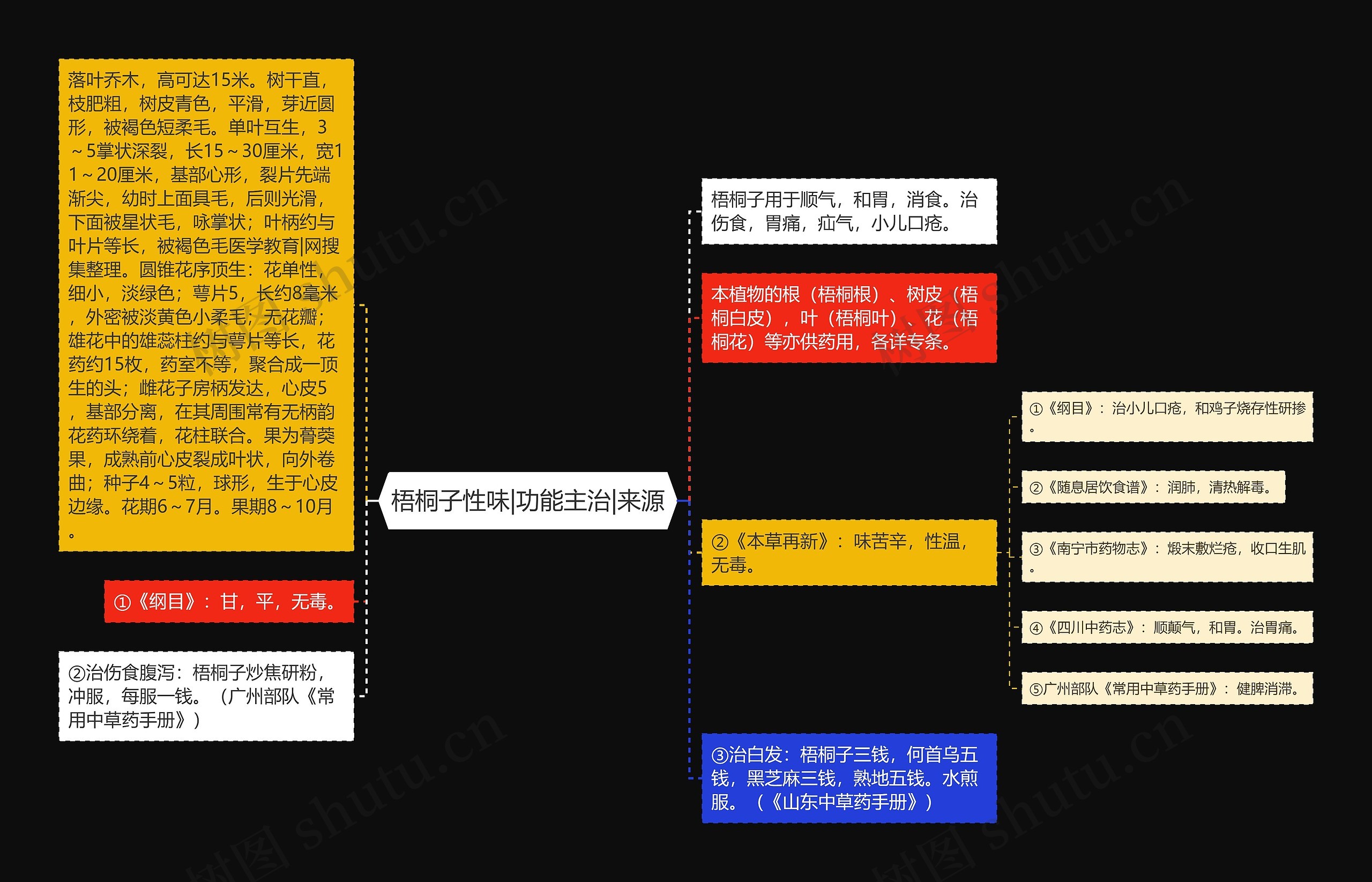 梧桐子性味|功能主治|来源思维导图