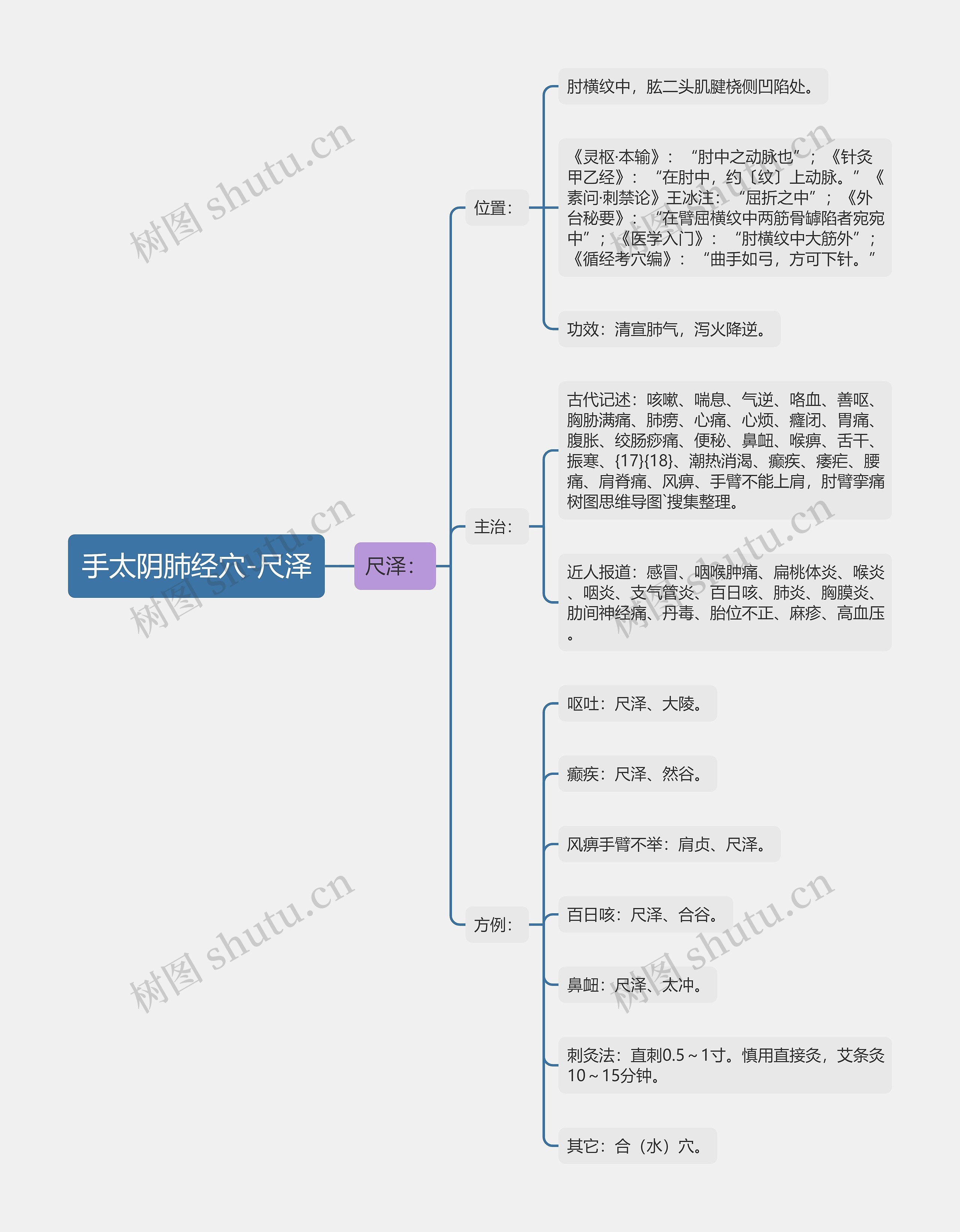 手太阴肺经穴-尺泽 手太阴肺经穴-尺泽