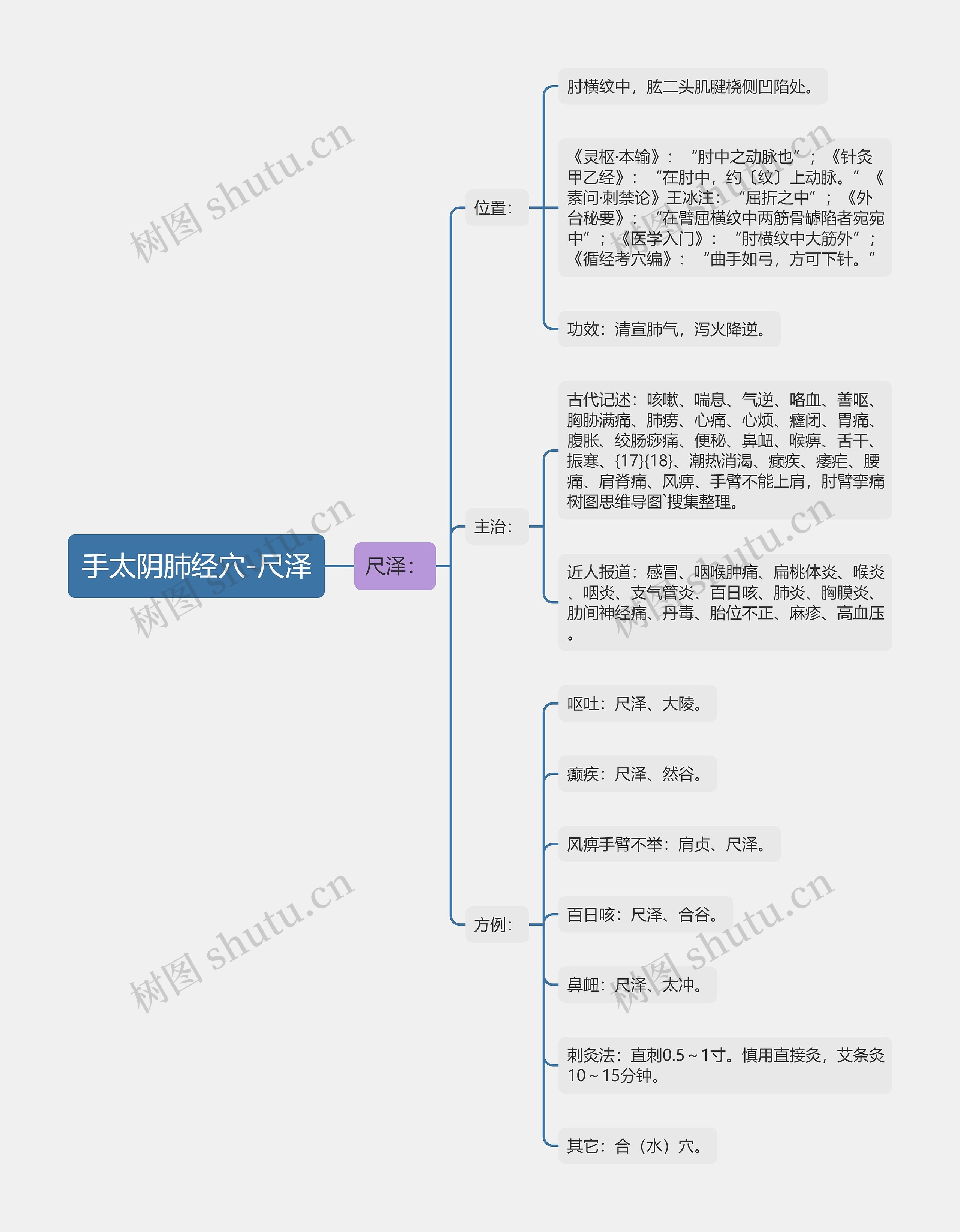 手太阴肺经穴-尺泽思维导图