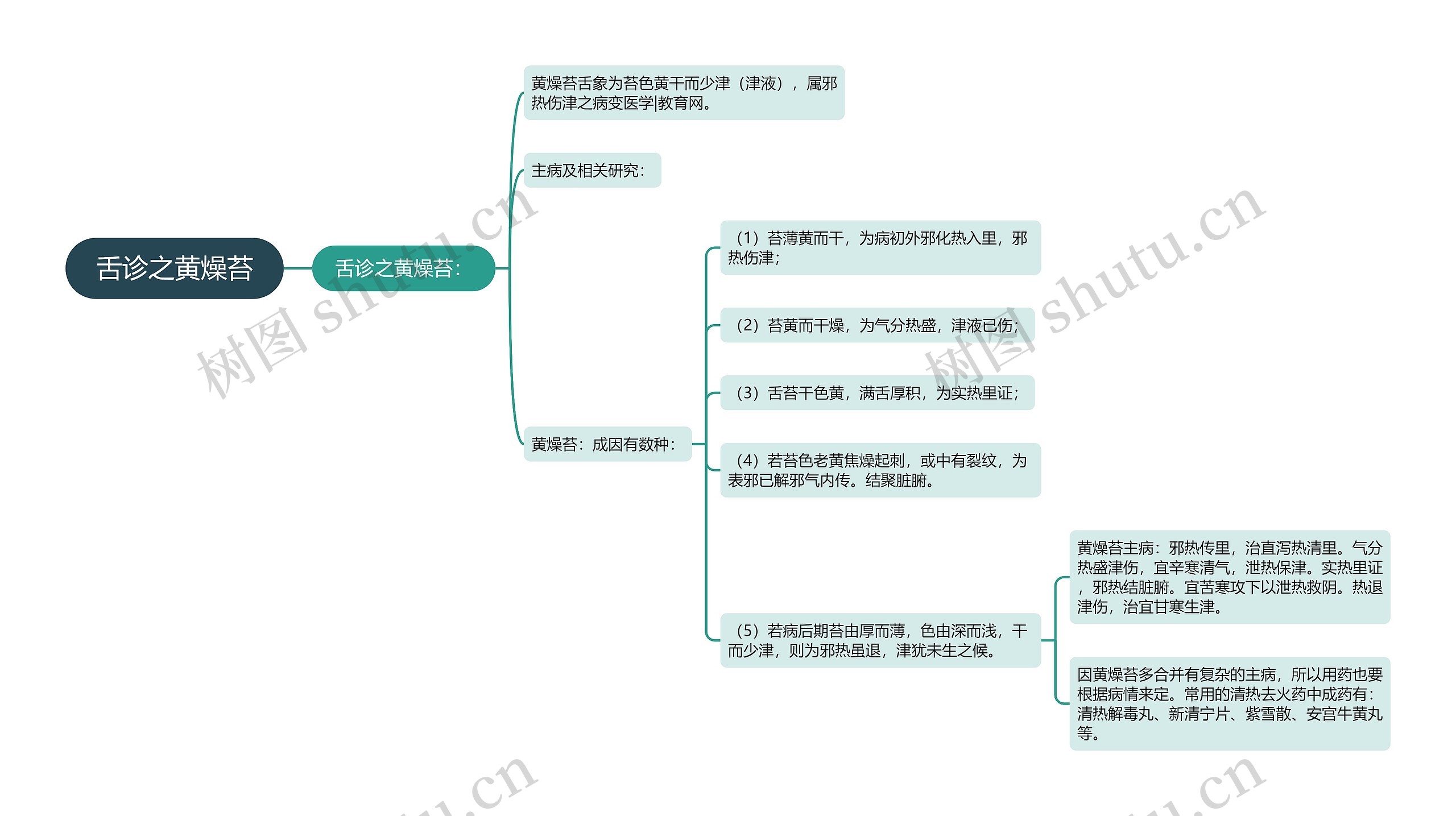 舌诊之黄燥苔思维导图