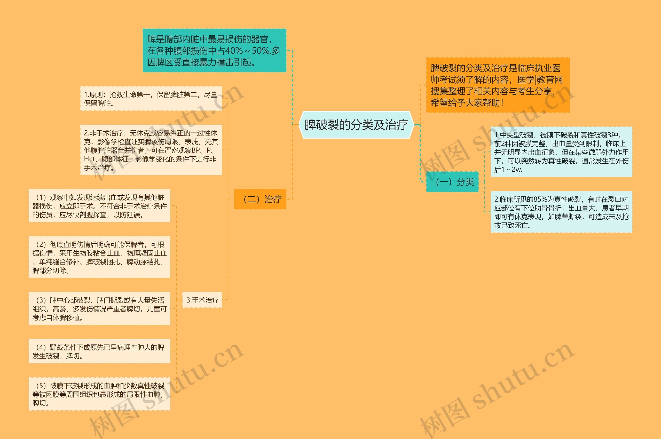 脾破裂的分类及治疗