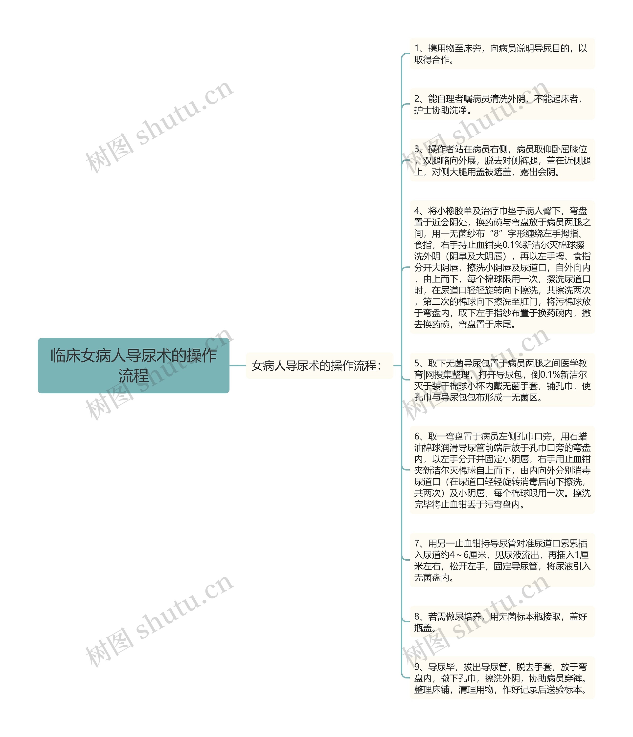 临床女病人导尿术的操作流程思维导图