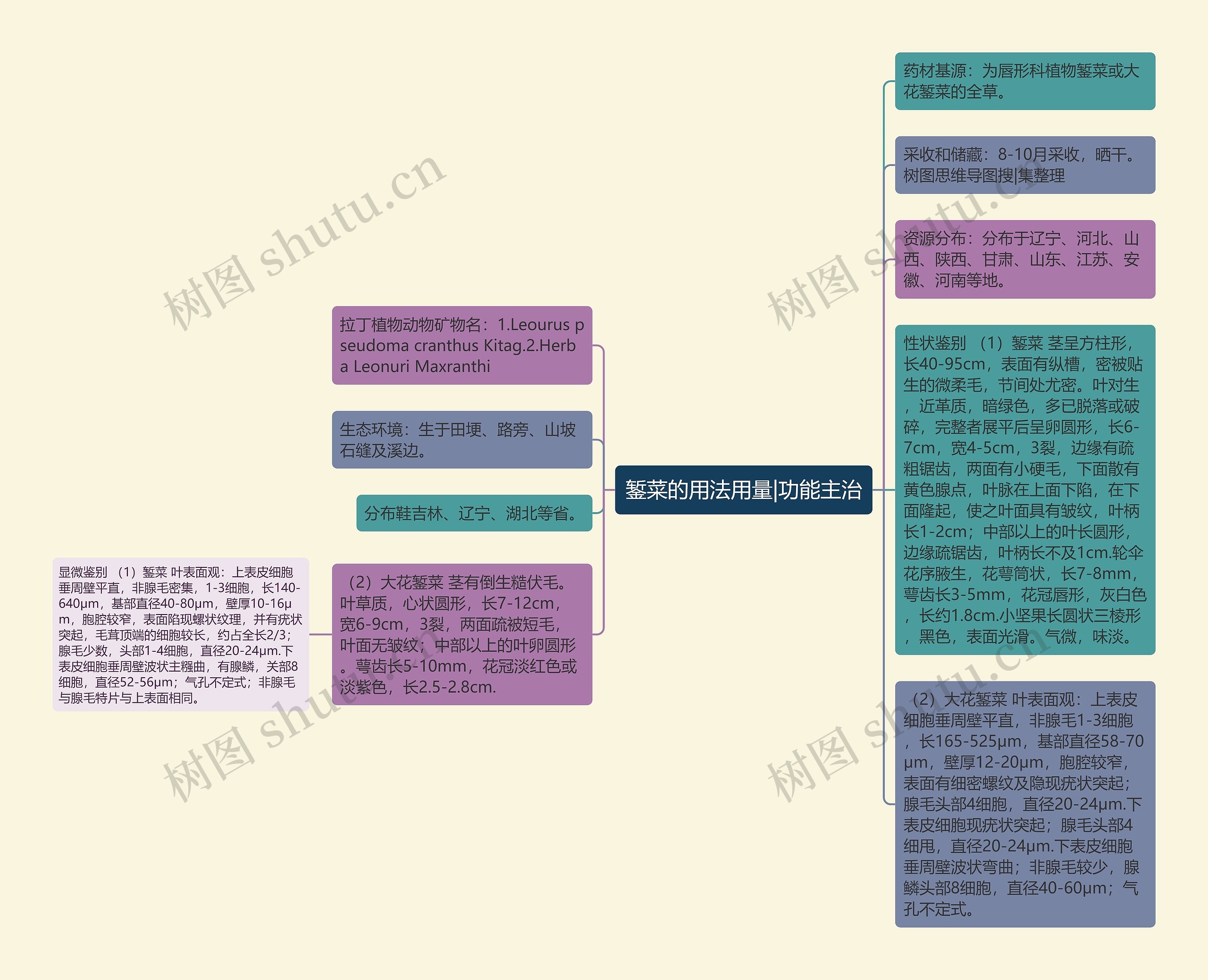 錾菜的用法用量|功能主治思维导图