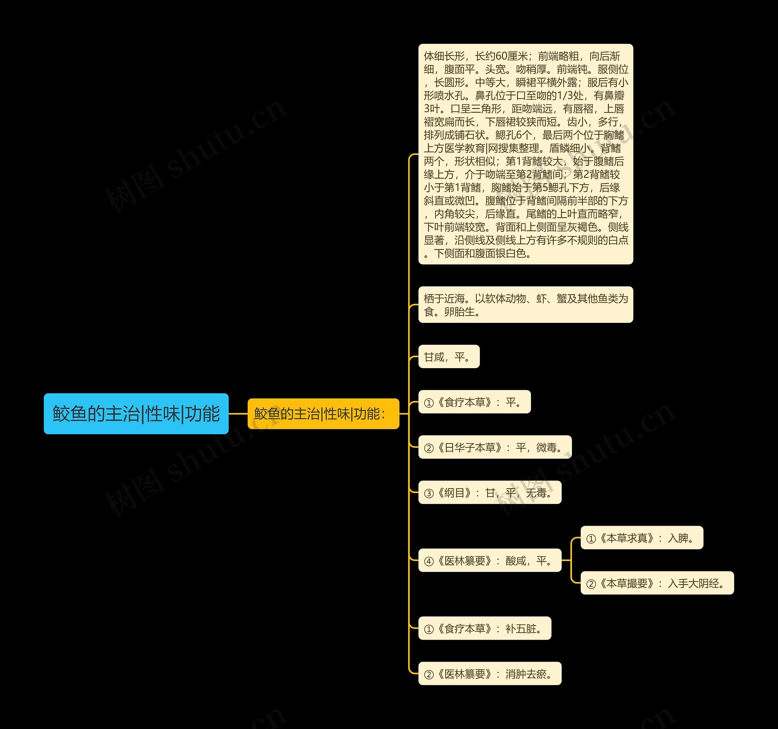 鲛鱼的主治|性味|功能 鲛鱼的主治|性味|功能