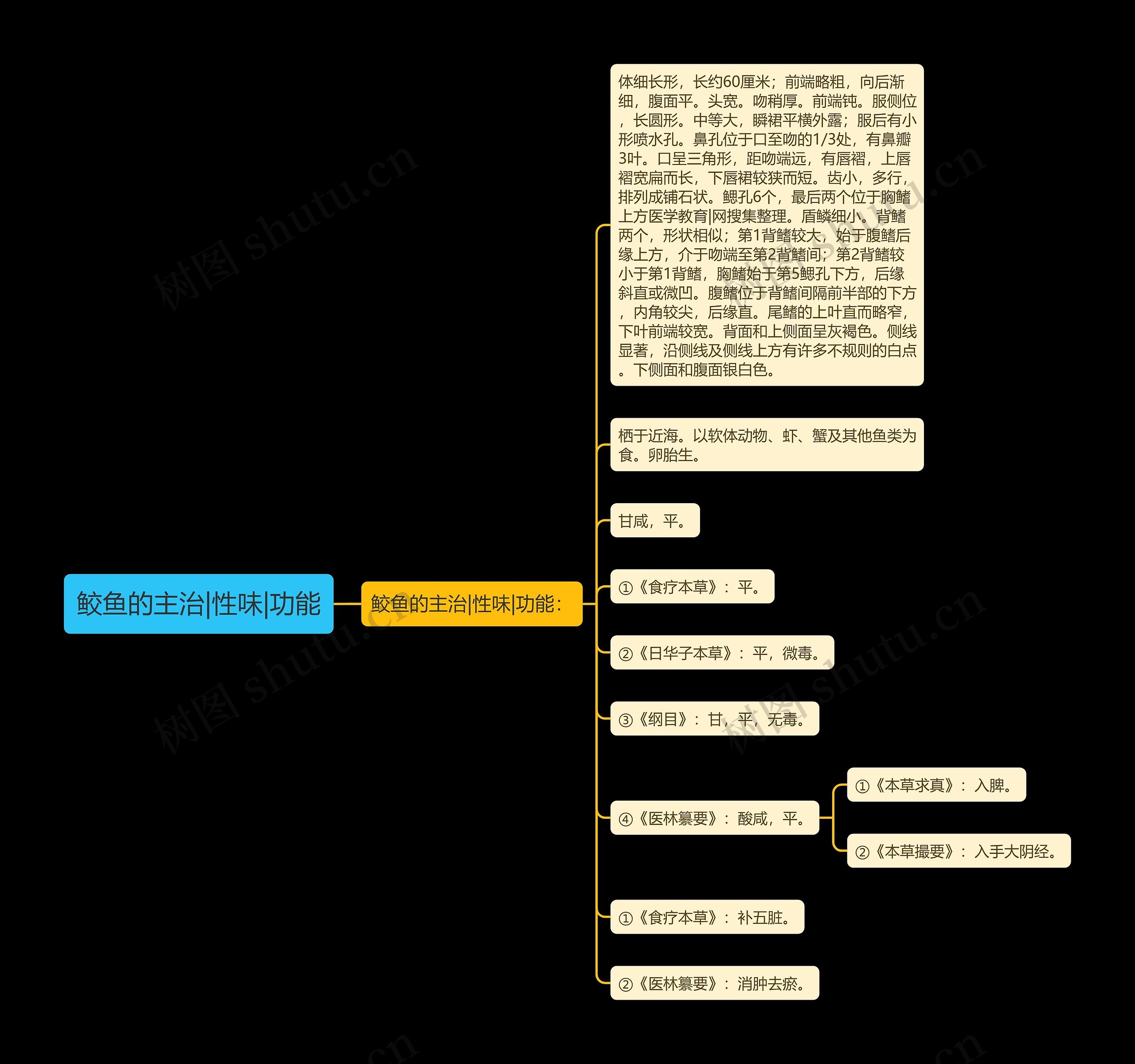 鲛鱼的主治|性味|功能思维导图