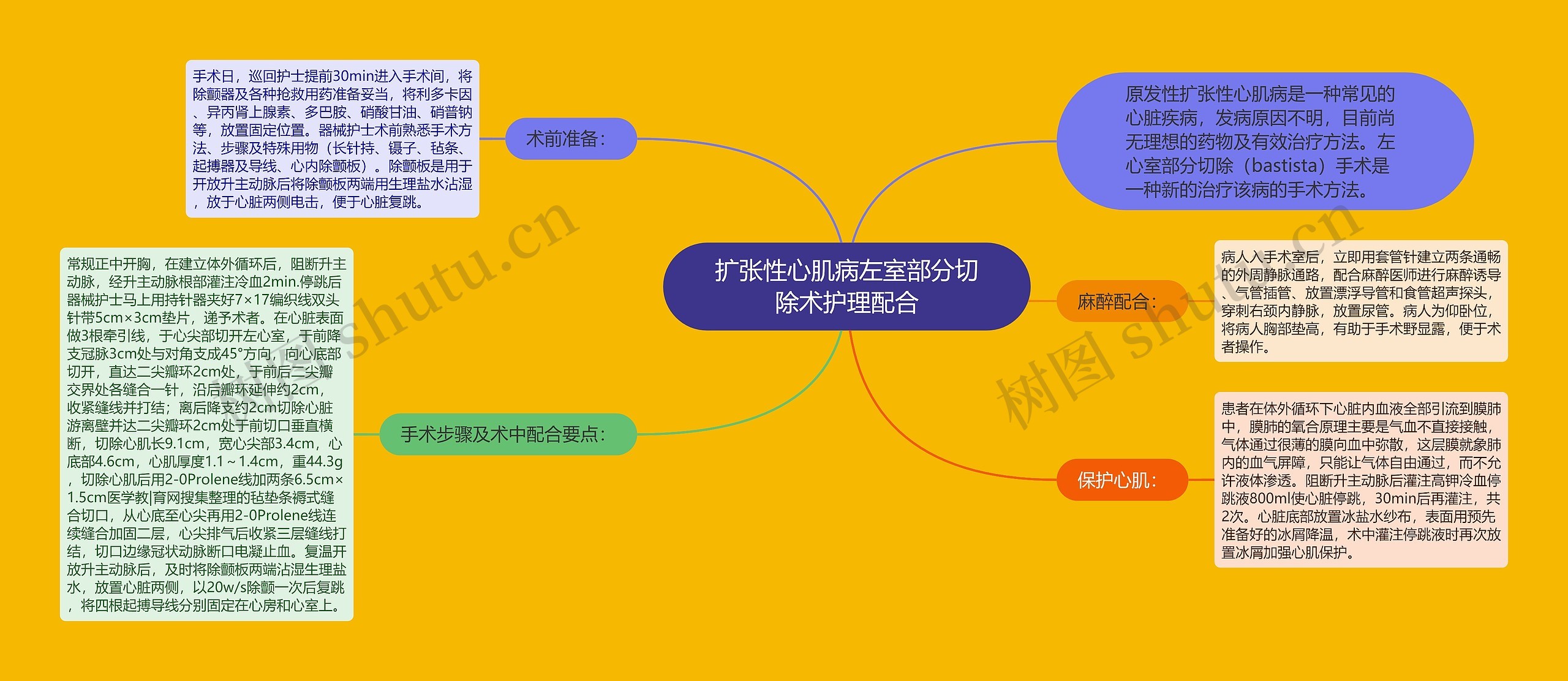 扩张性心肌病左室部分切除术护理配合思维导图