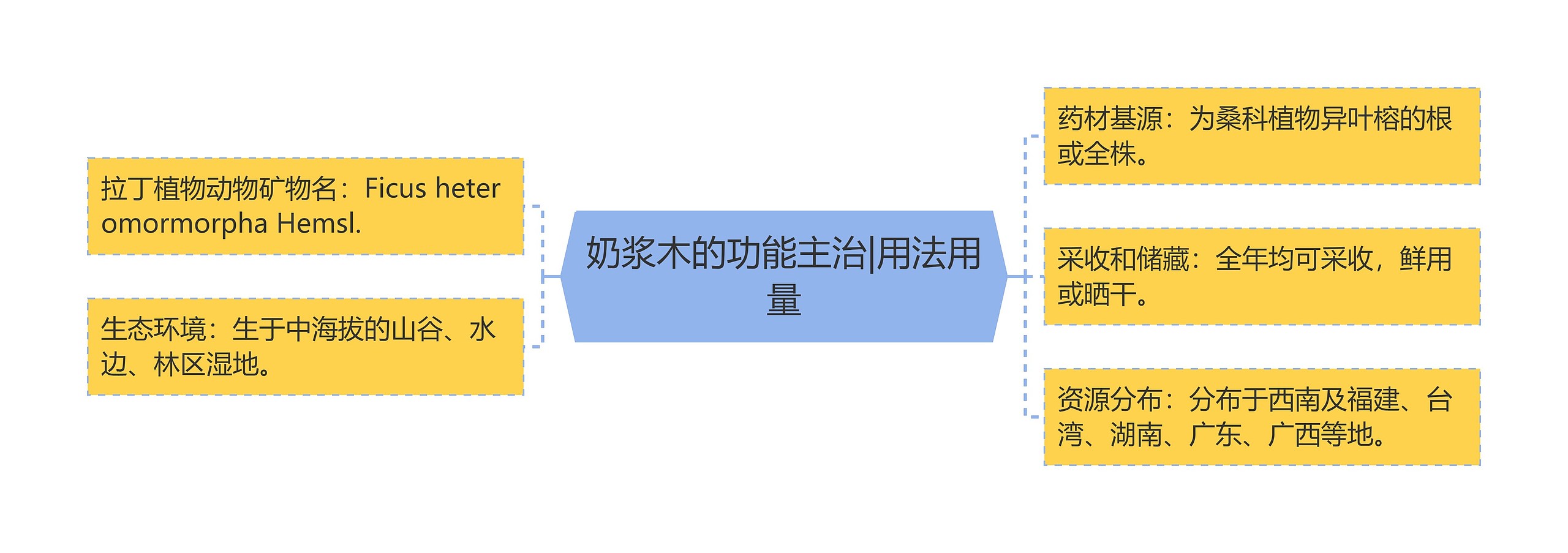 奶浆木的功能主治|用法用量思维导图