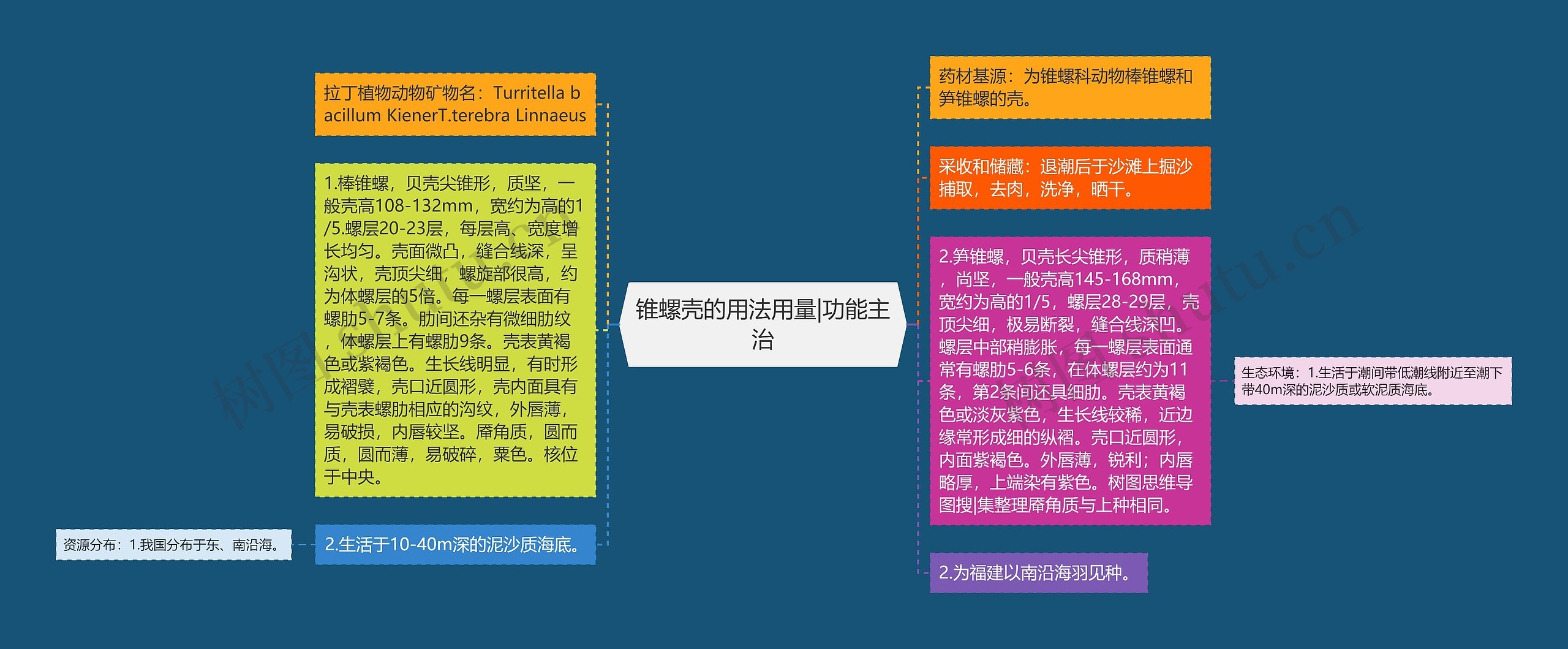 锥螺壳的用法用量|功能主治思维导图