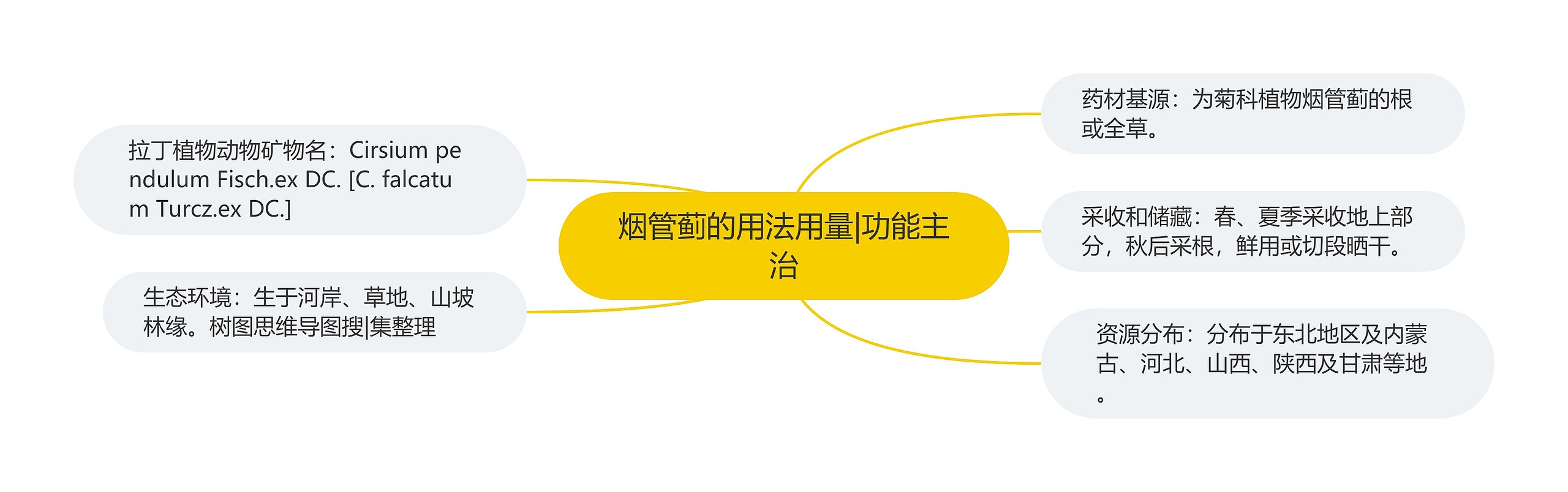 烟管蓟的用法用量|功能主治 烟管蓟的用法用量|功能主治